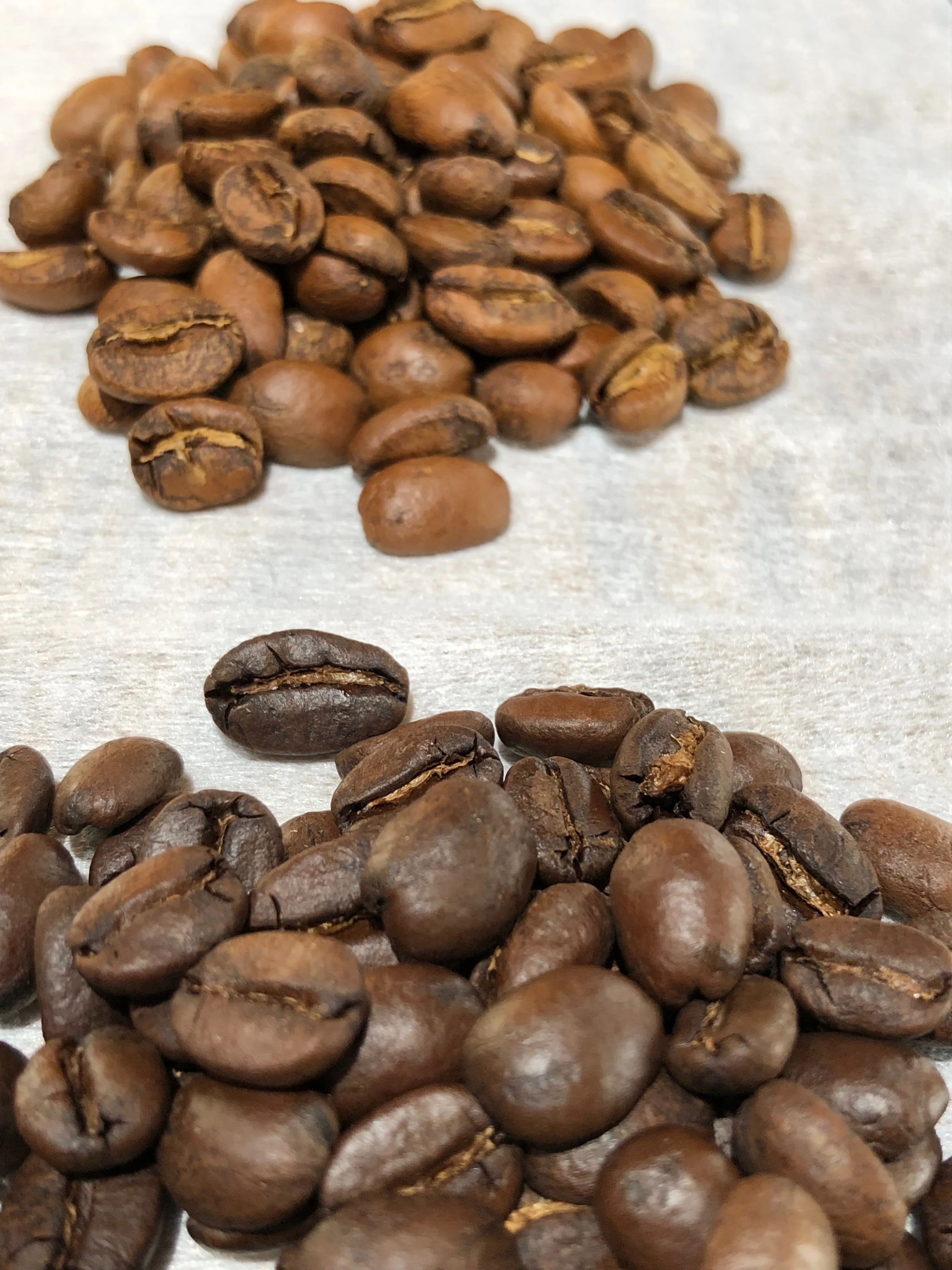 今日のコーヒー＃076 エルサルバドル🇸🇻SHGジュリアQグレード｜Jin