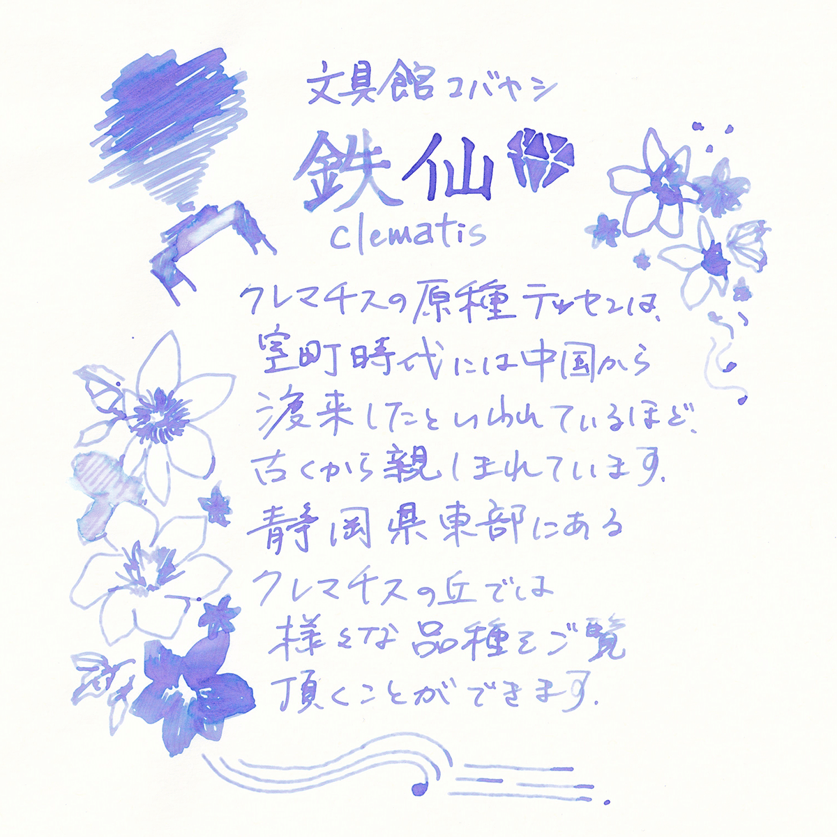 鉄仙 静岡インク - 藤田さんちのインク沼|藤田さんちの色彩事情 鉄仙 静岡インク - 藤田さんちのインク沼|藤田さんちの色彩事情