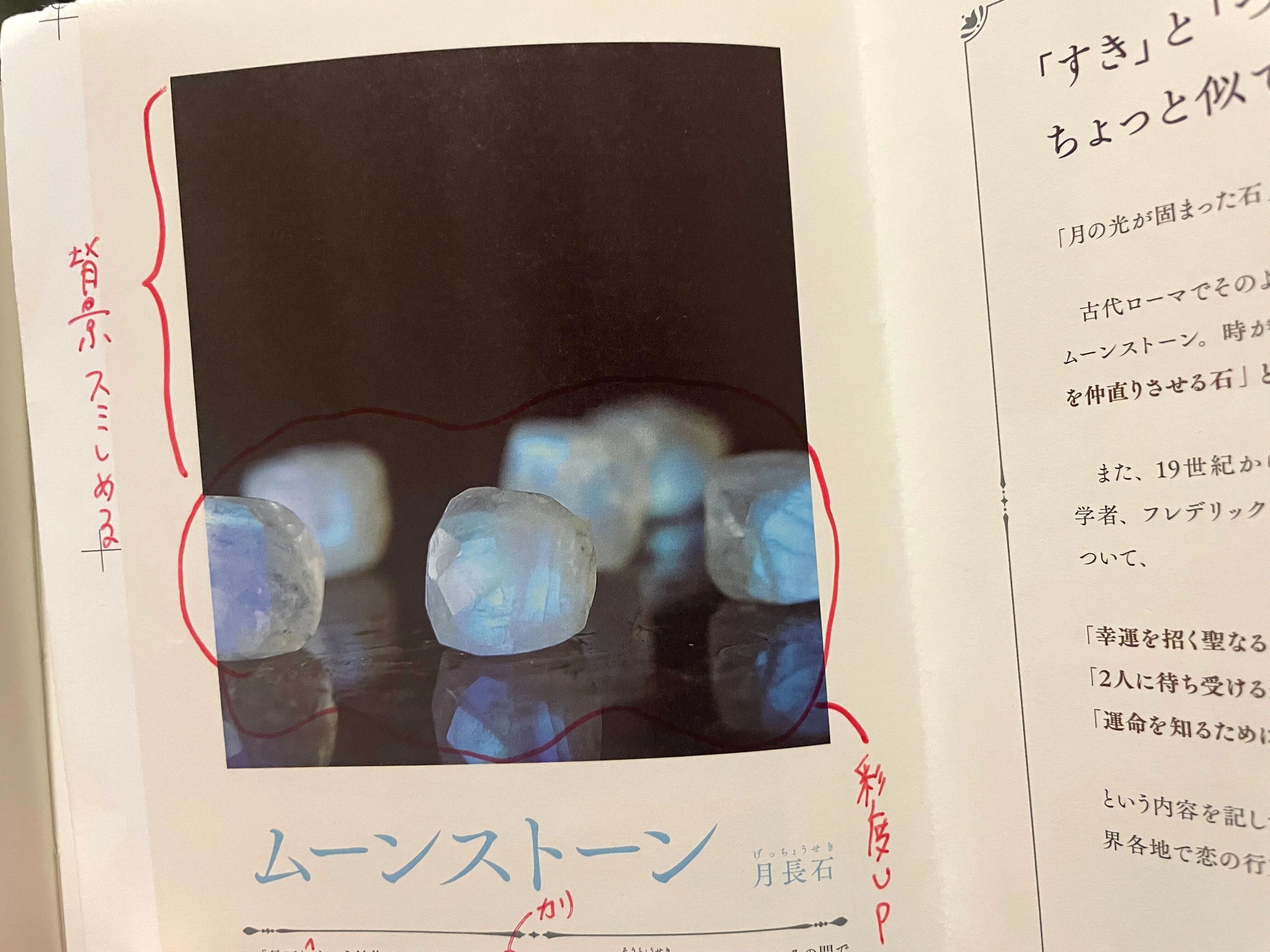 物語のある鉱物図鑑』の裏側｜ペズル