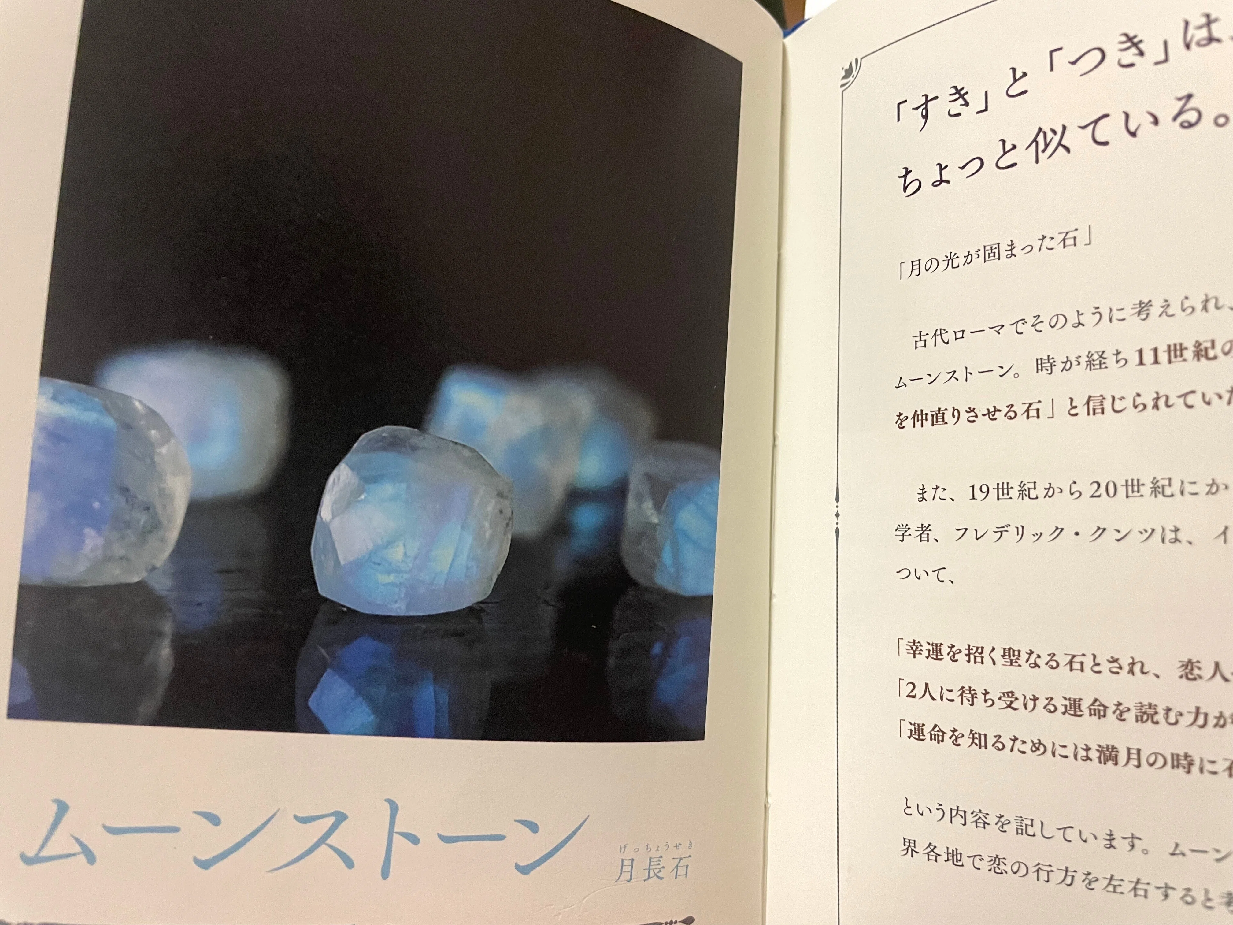 物語のある鉱物図鑑』の裏側｜ペズル