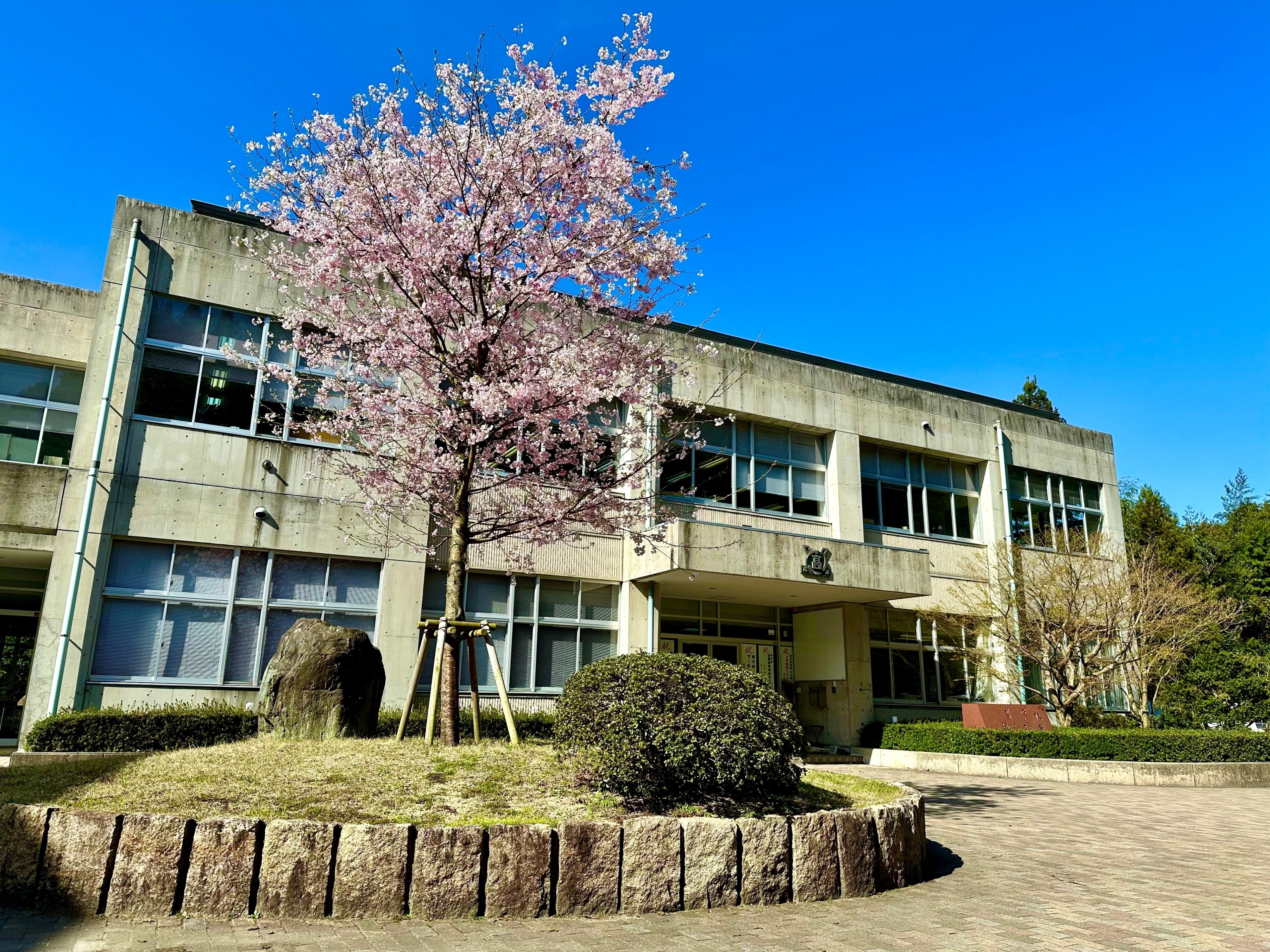 立正大湘南　スローイン 立正大淞南の新たなるシンボル誕生！｜学校法人淞南学園 立正