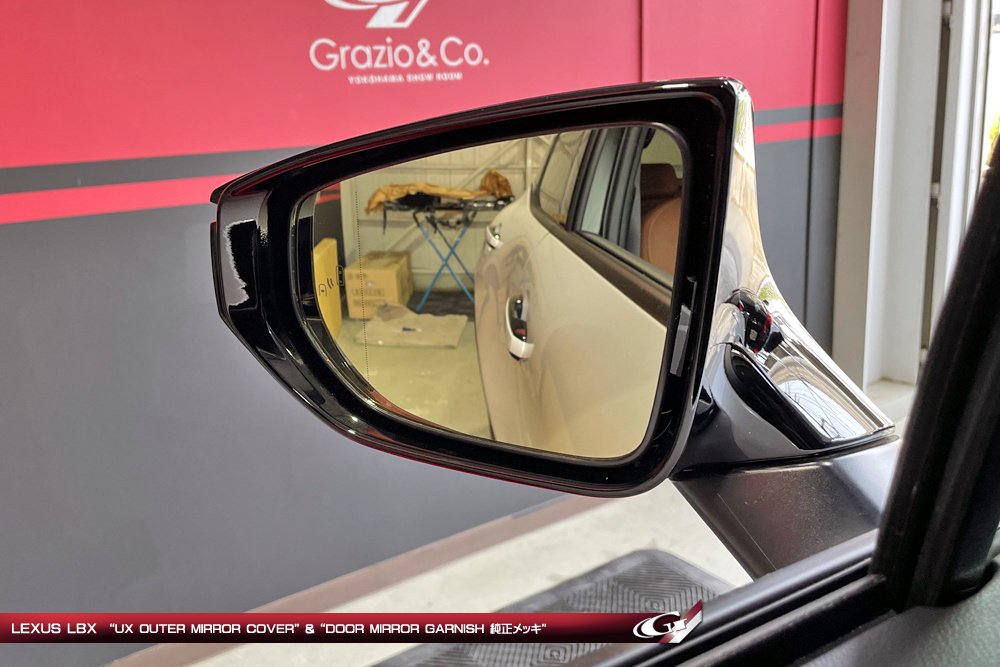 ZXピックアップモデルTerralordバックミラーアセンブリバックミラー