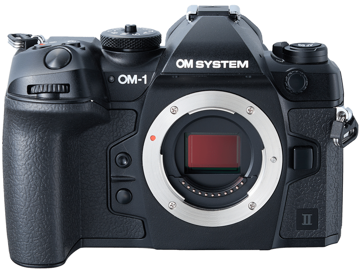 OM-1 Mark Ⅱ 実写レビュー】期待通りのモデルチェンジではない