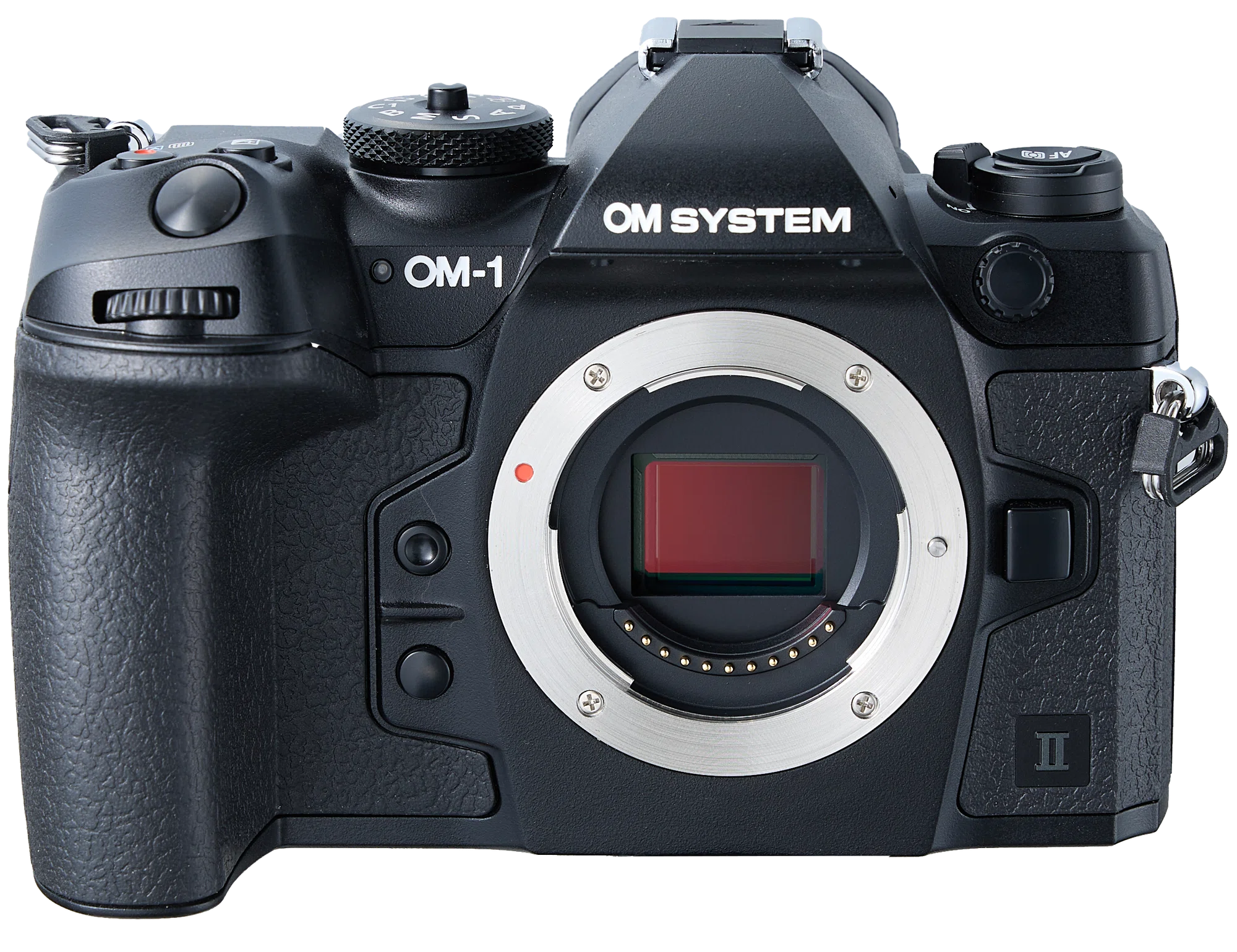 OM-1 Mark Ⅱ 実写レビュー】期待通りのモデルチェンジではないものの OM-1 Mark Ⅱ 実写レビュー】期待通りのモデルチェンジではないものの