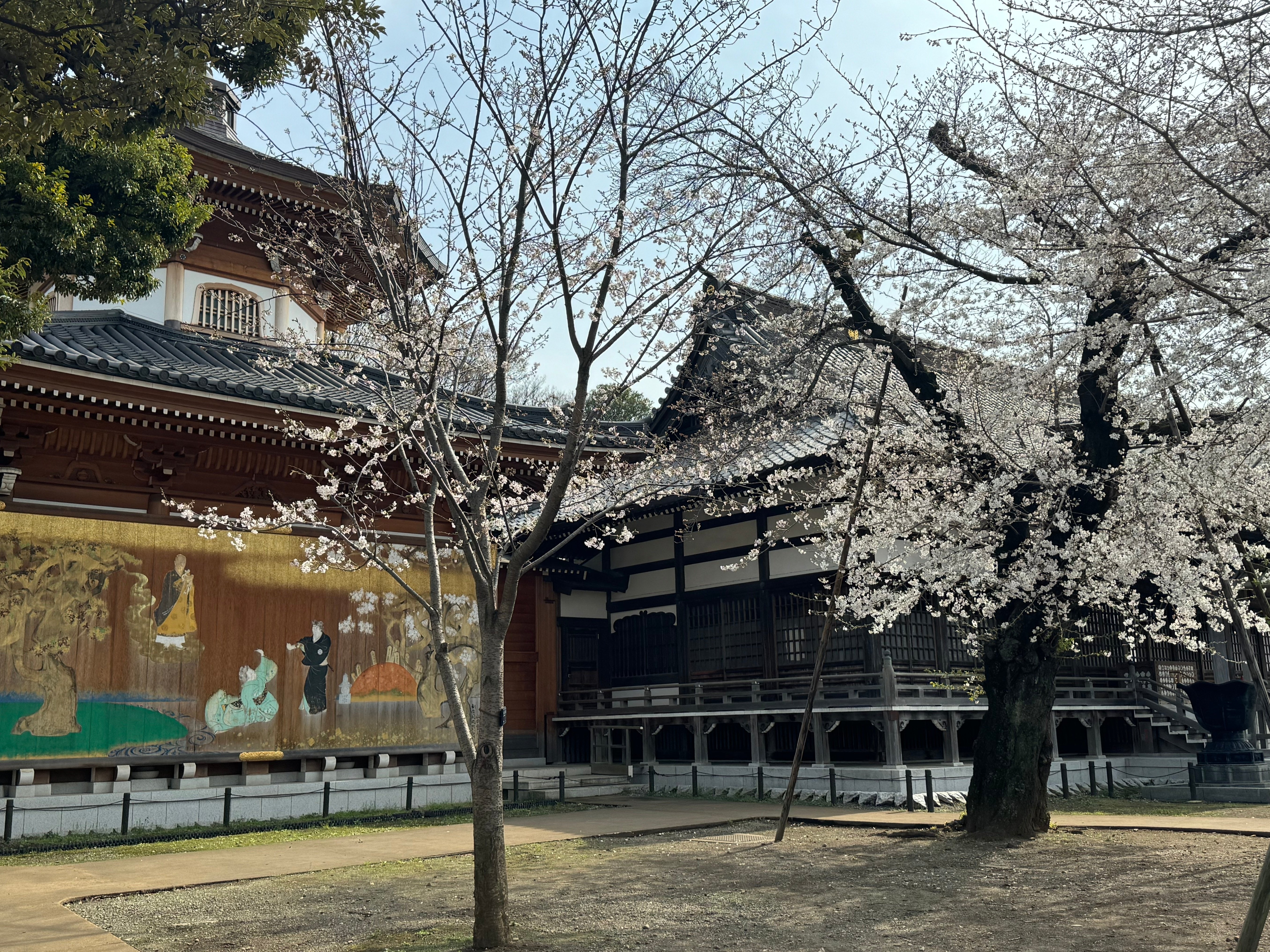 4月の祐天寺｜祐天寺駅周辺の魅力を発信する会【公式note】