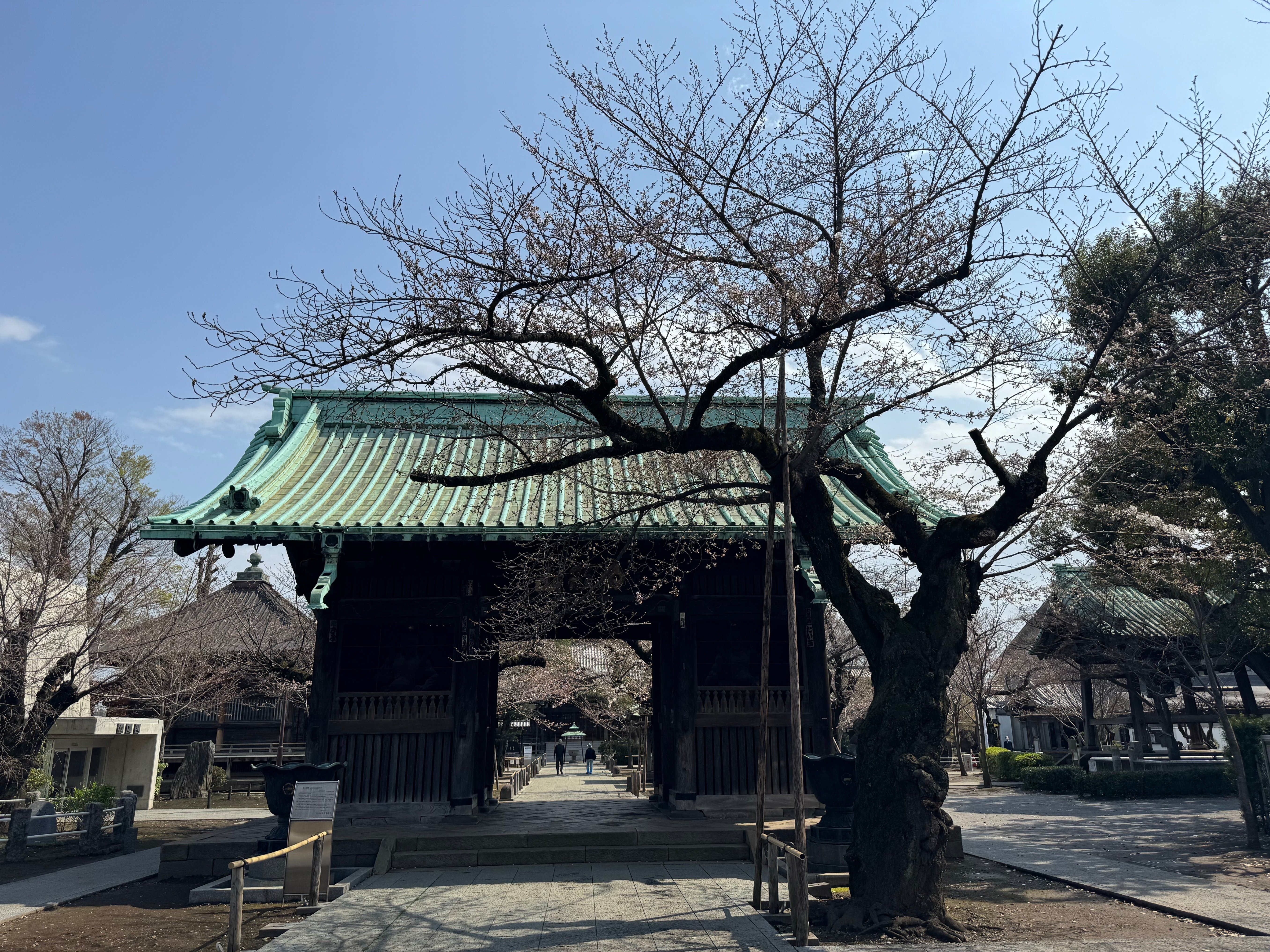 4月の祐天寺|祐天寺駅周辺の魅力を発信する会【公式note】 4月の祐天寺|祐天寺駅周辺の魅力を発信する会【公式note】