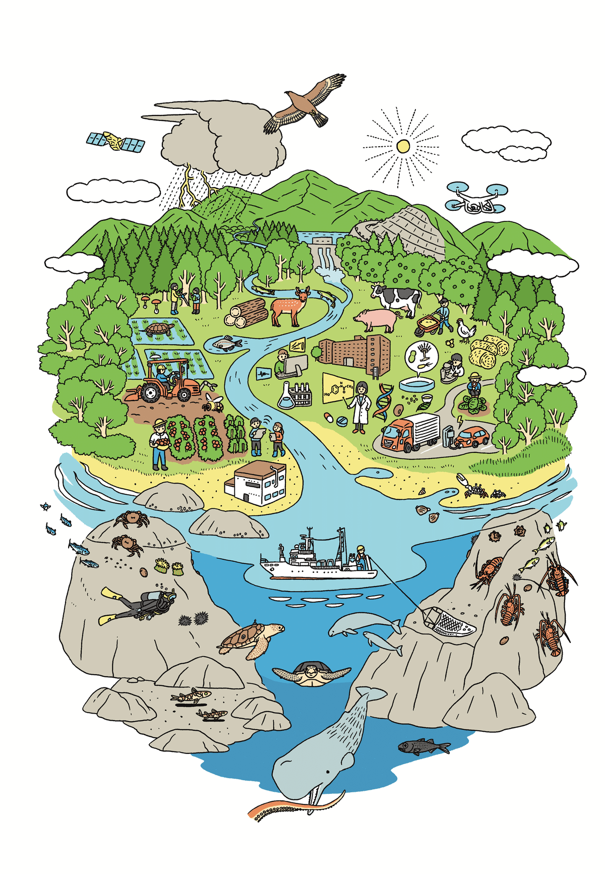 絵描きhiro C「アイランド」 【公式通販】