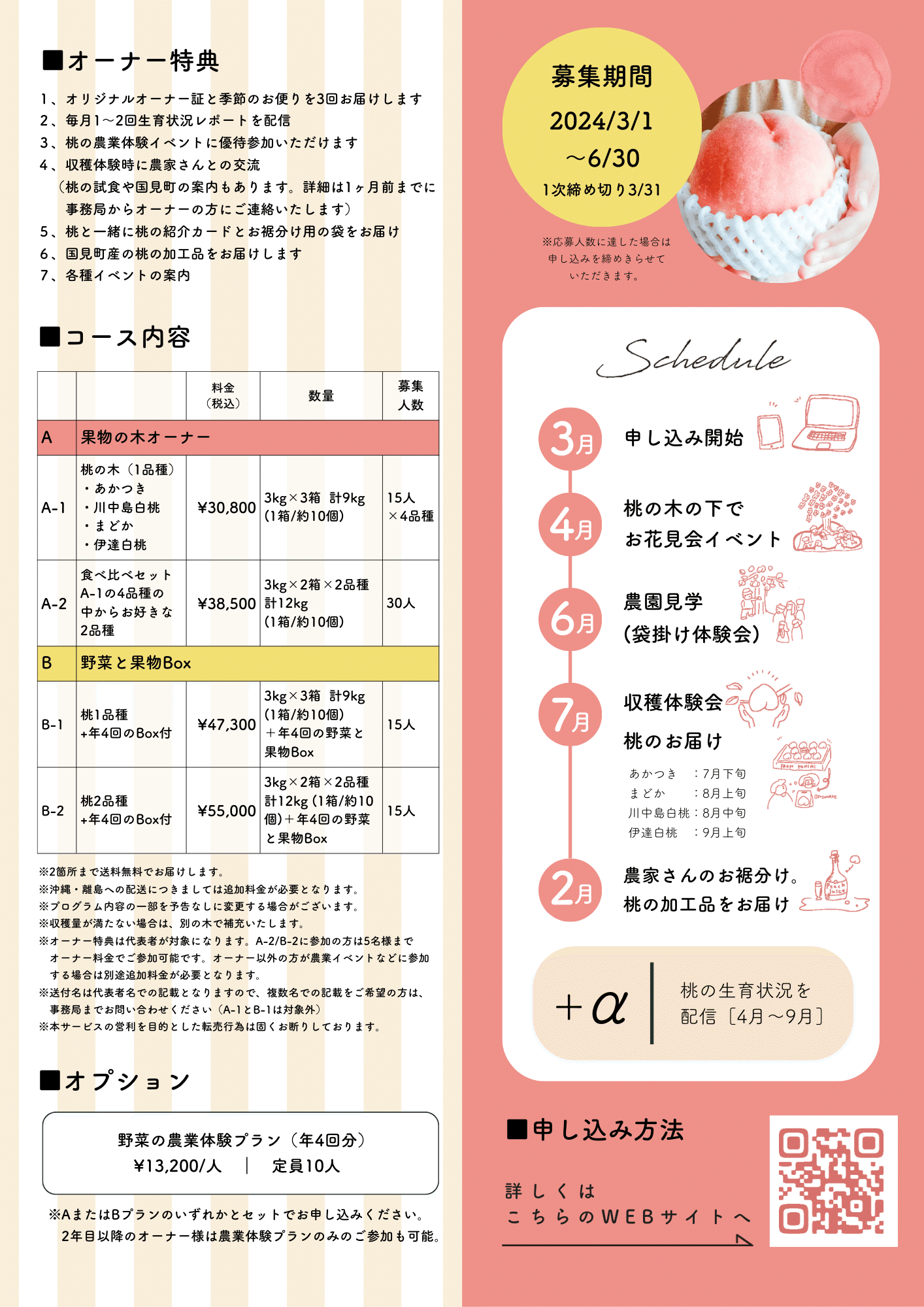 ももの専用ページ（もずく様専用ページ）