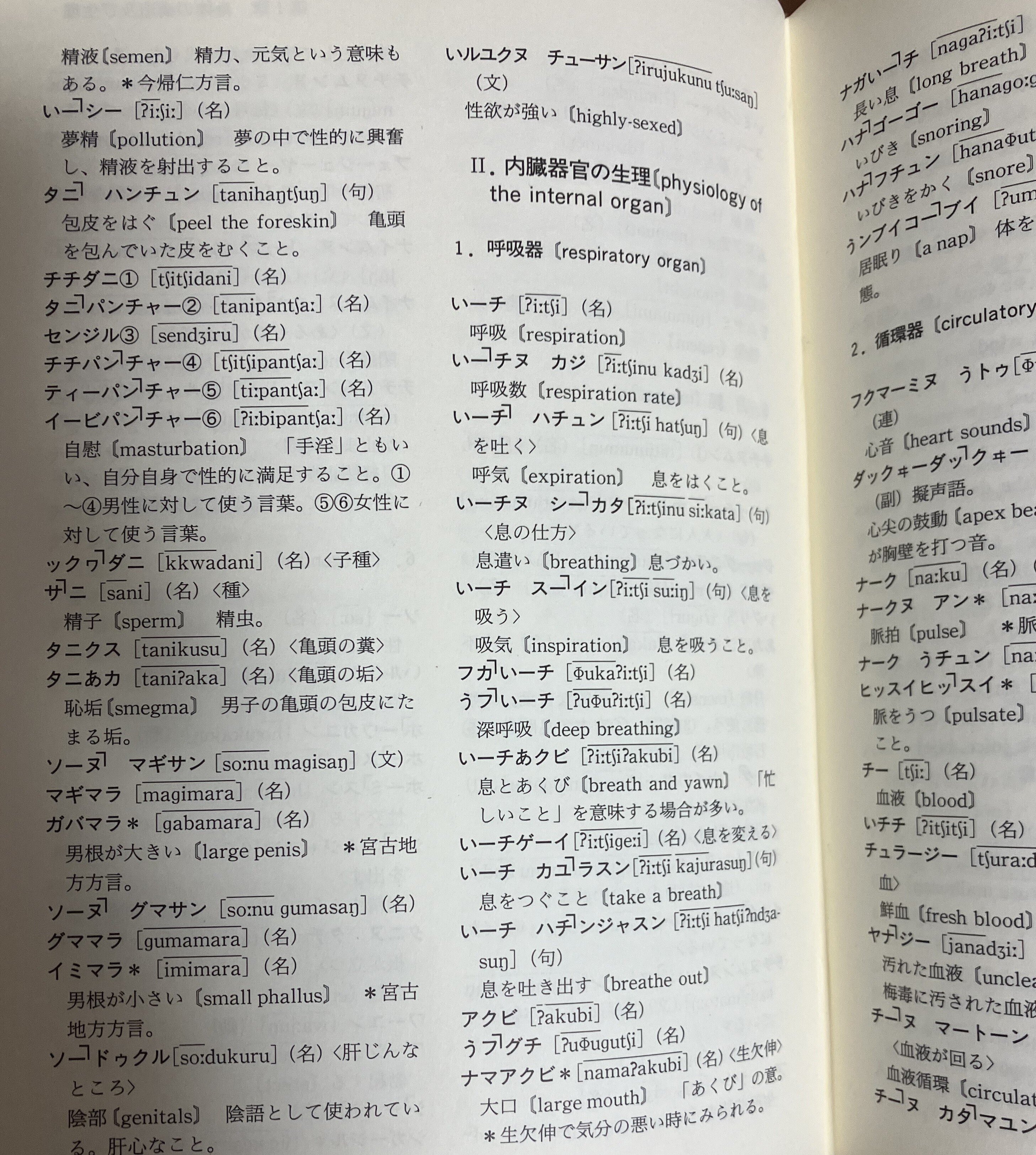 沖縄語辞典 沖縄語辞典 - 研究社