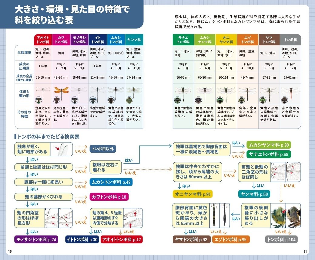 ぽんぽん様 ❶❷❻エキスパ/ヤマト便 ぽんぽん様 ❶❷❻エキスパ/ヤマト便