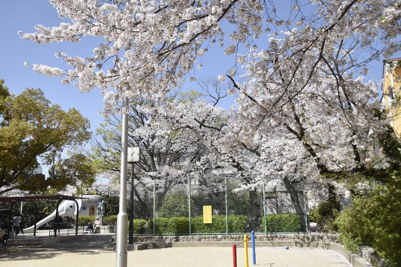 桜塚公園の桜とゾウの滑り台