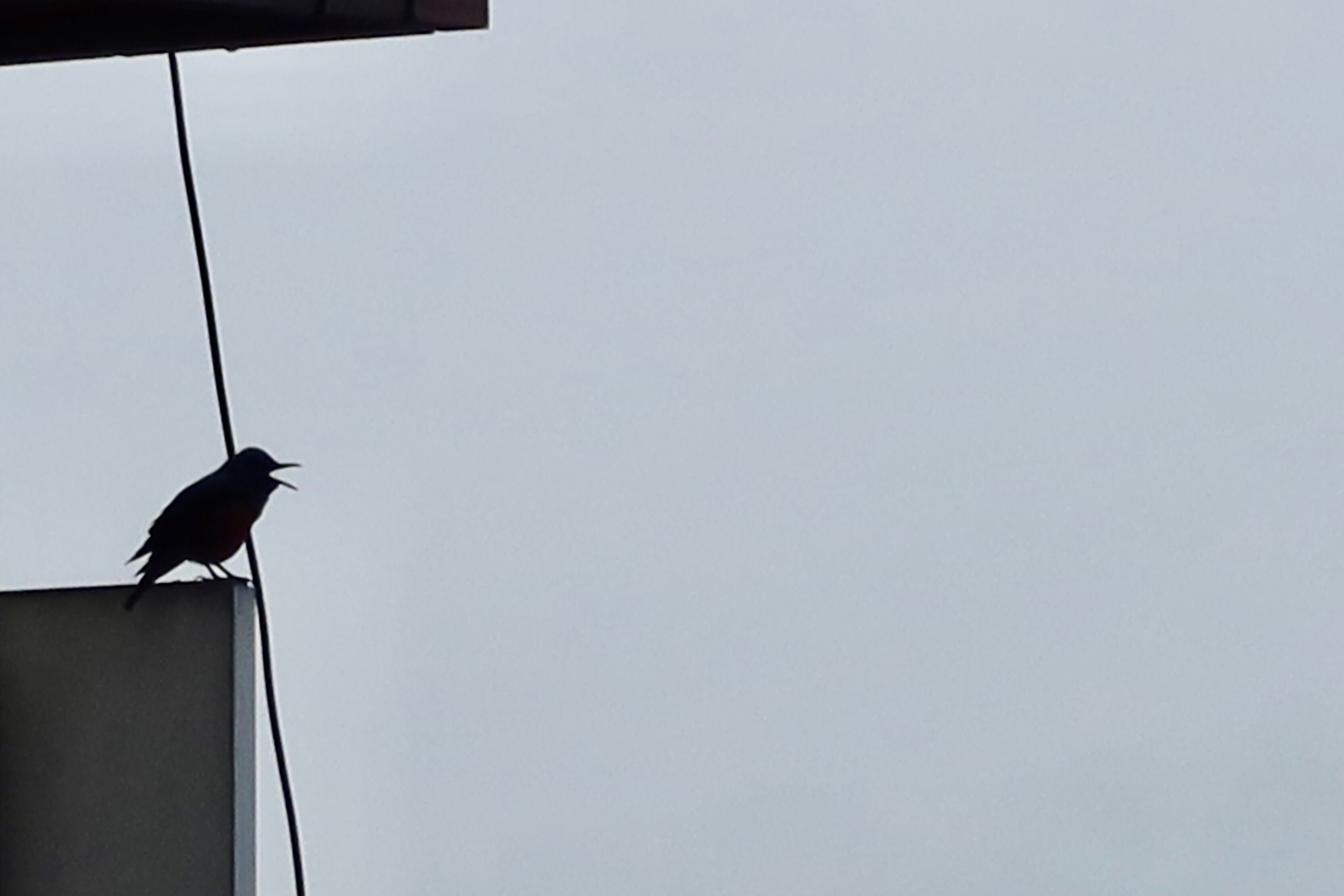 徒然雲 『漣』が観たくて・・・【福田平八郎】＠大阪中之島美術館