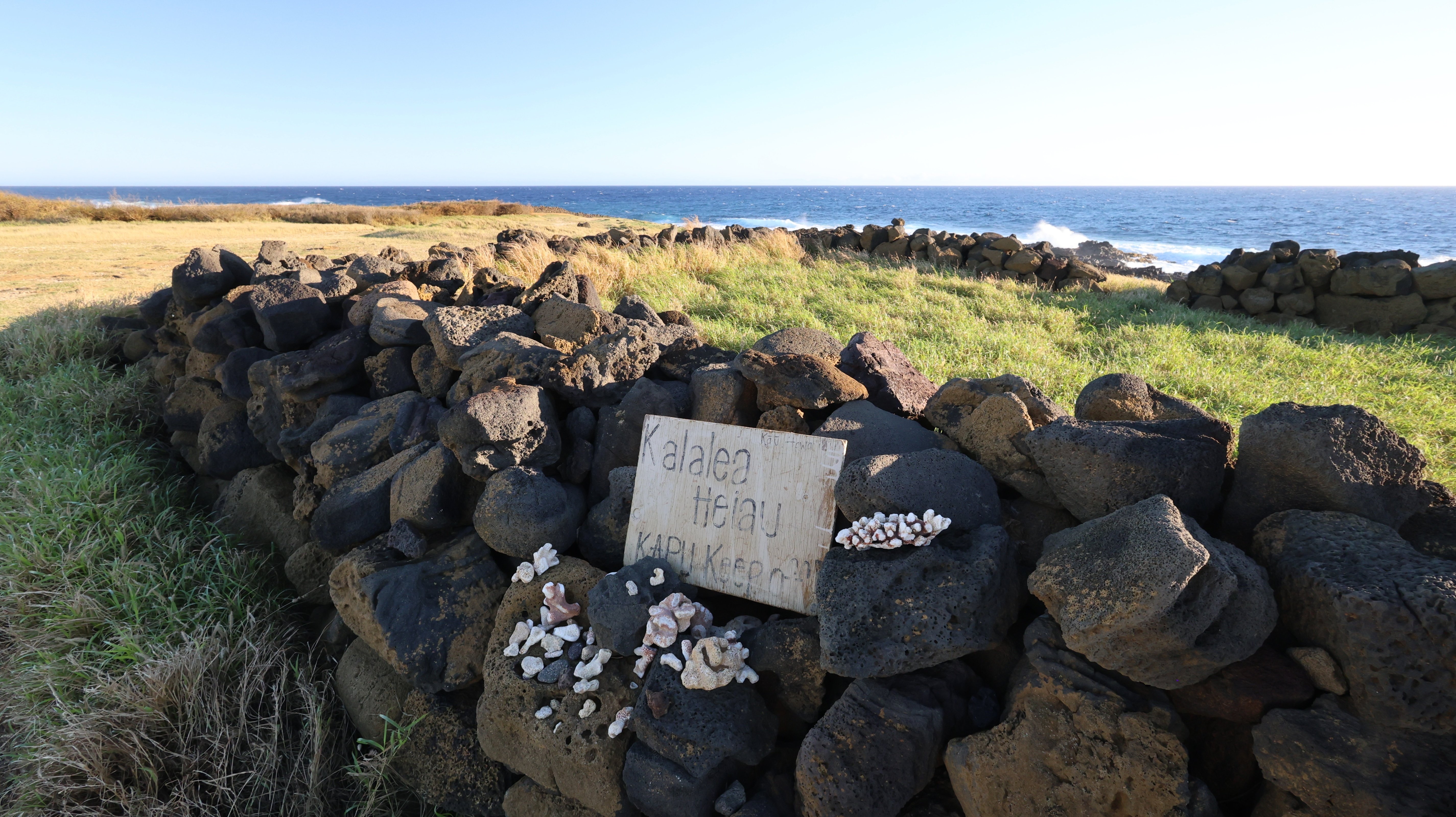 ハワイ島】アメリカ最南端でウミガメ遭遇率100%?! オシャレ ハワイ島】アメリカ最南端でウミガメ遭遇率100%?! オシャレ