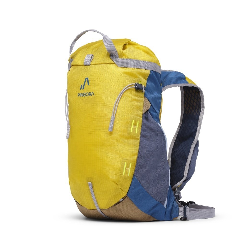 4月6日-29日 | PINGORA POP UP｜恵文社 | 本にまつわるあれこれのお店