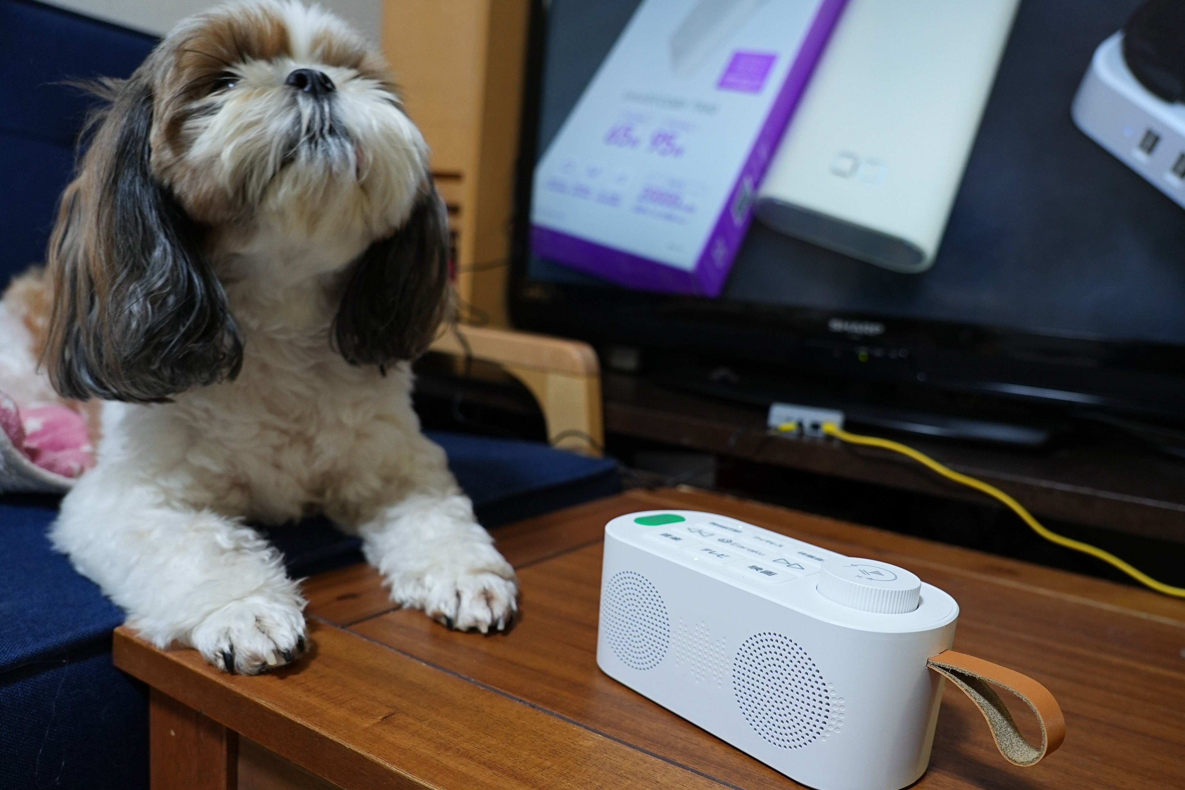 【人気商品✨】手元スピーカー 3つの音声モード 本革ストラップ 快眠音楽内蔵 Amazon.co.jp: 手元スピーカー テレビ用 【2025 ゼロ遅延版 3in1