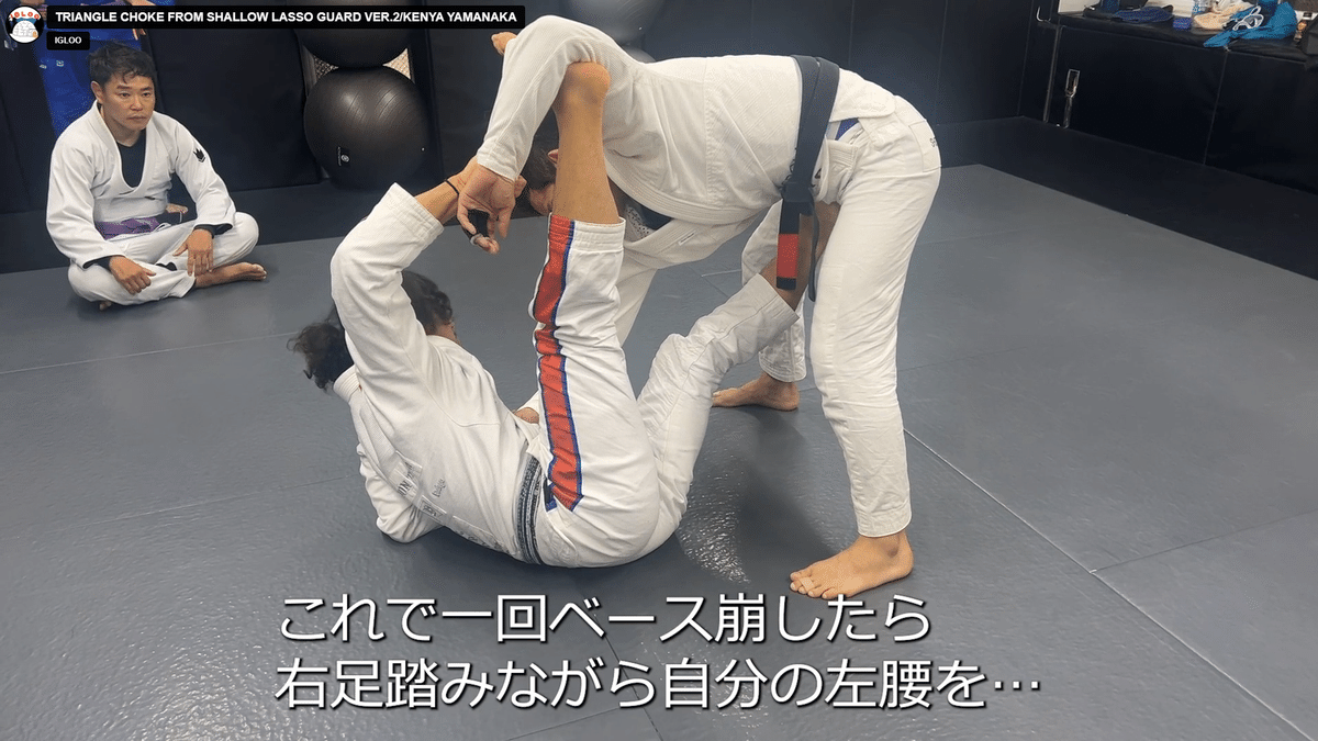 SCIENCE OF GUARD PASSING ルーカスレプリ柔術DVD