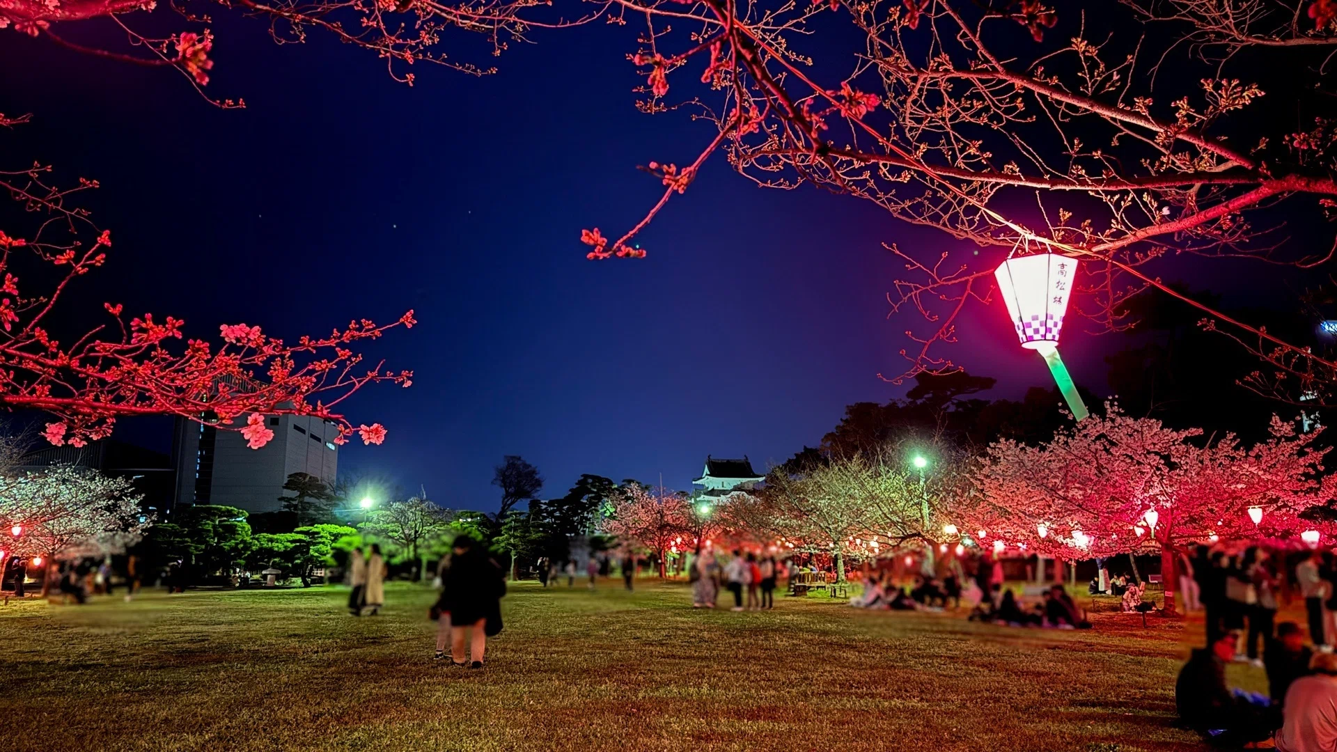 高松駅近くのお花見🌸】栗林公園と玉藻公園の桜ライトアップ｜Setouchi