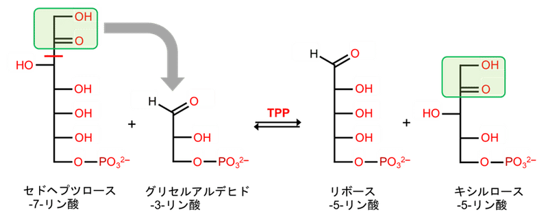 覚えておきたい生体分子05｜福島和明