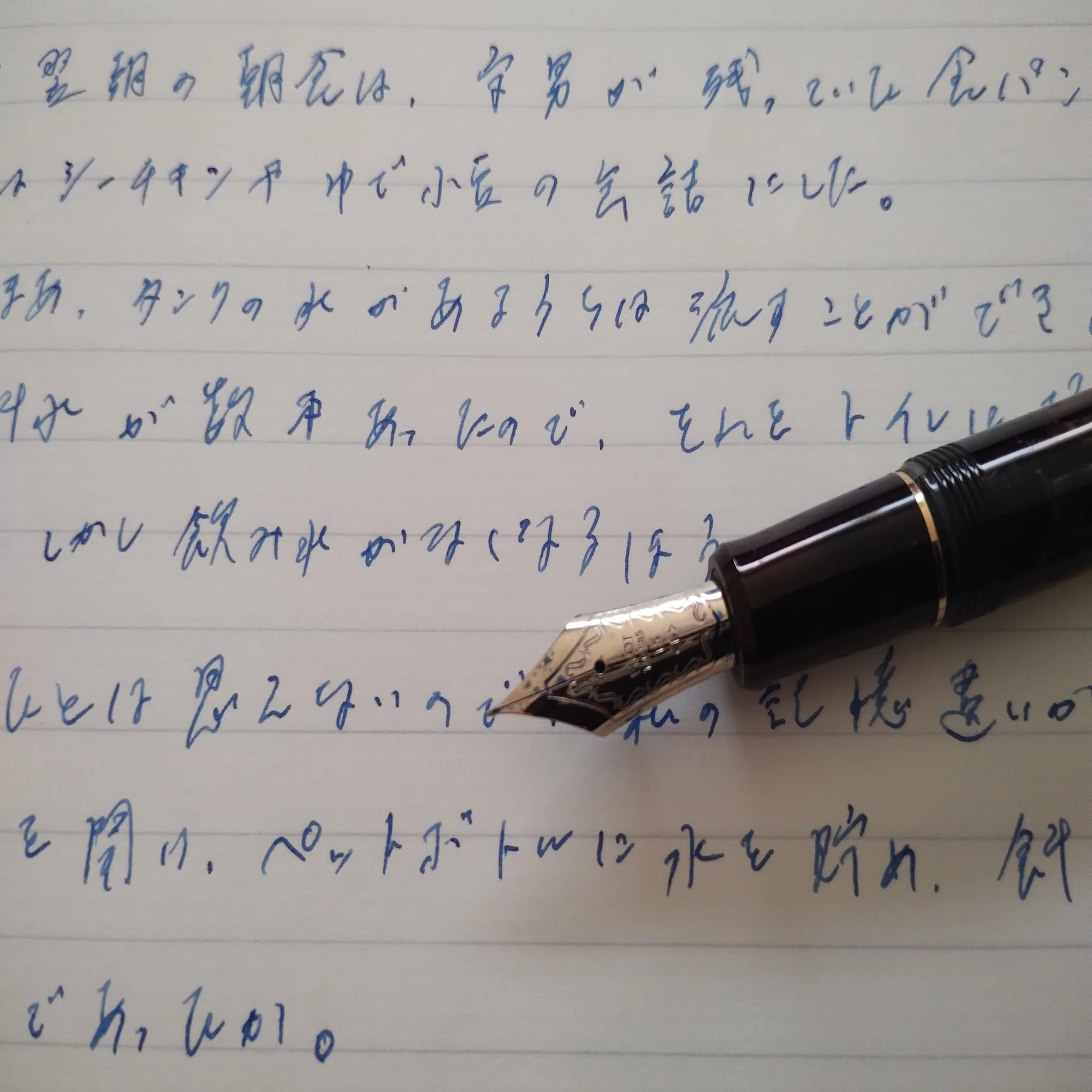 猫じゃらし様 専用*カスタム823 F 細字 PILOT パイロット CUSTOM 