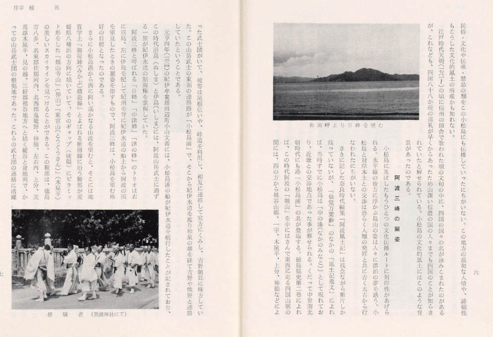 阿波古代史を知るための公開古文書リスト、「阿波國風土記」他
