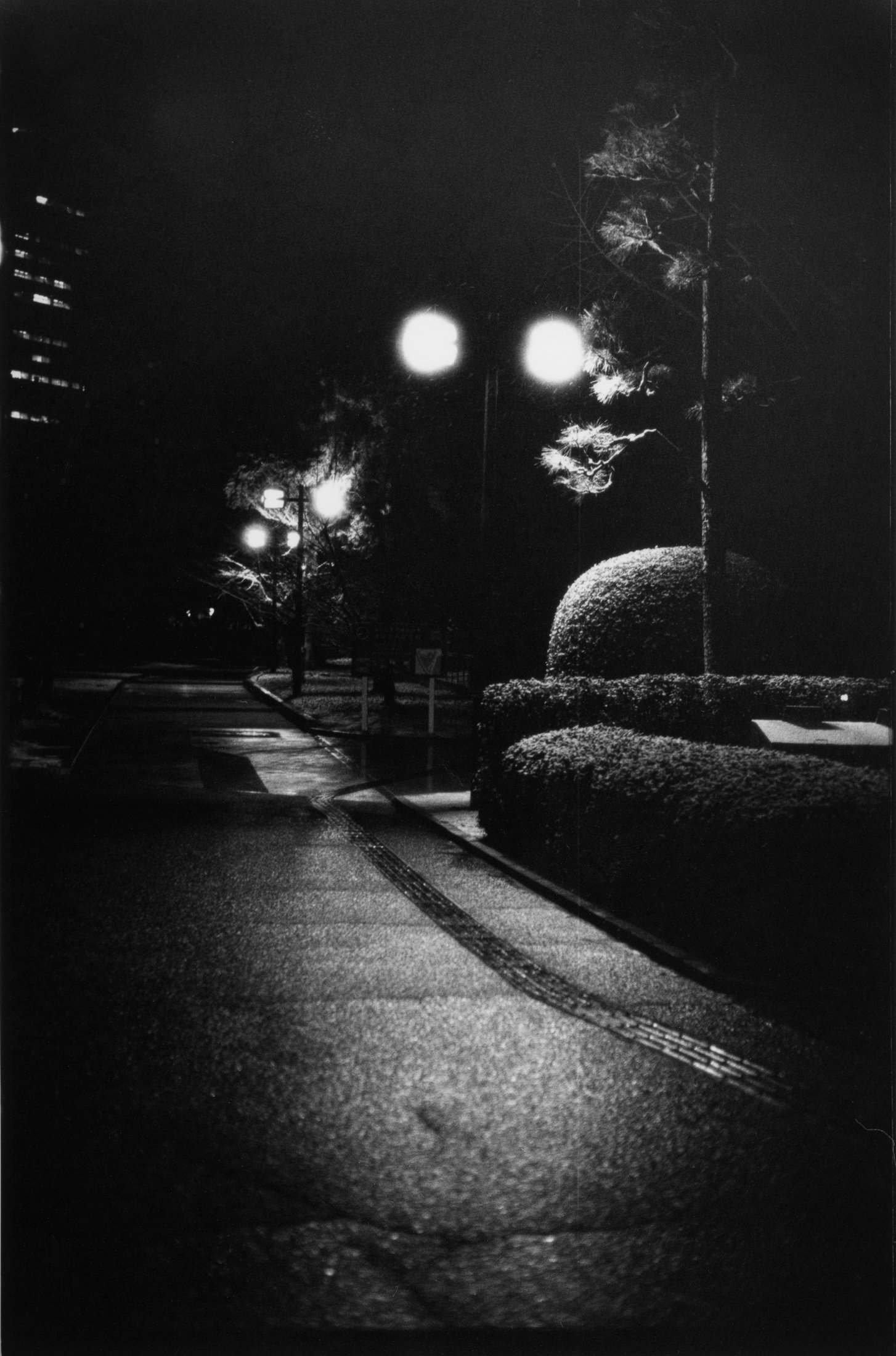 NOKTON Vintage Line 50mm F1.5 (初代) レビュー｜貴田倫大