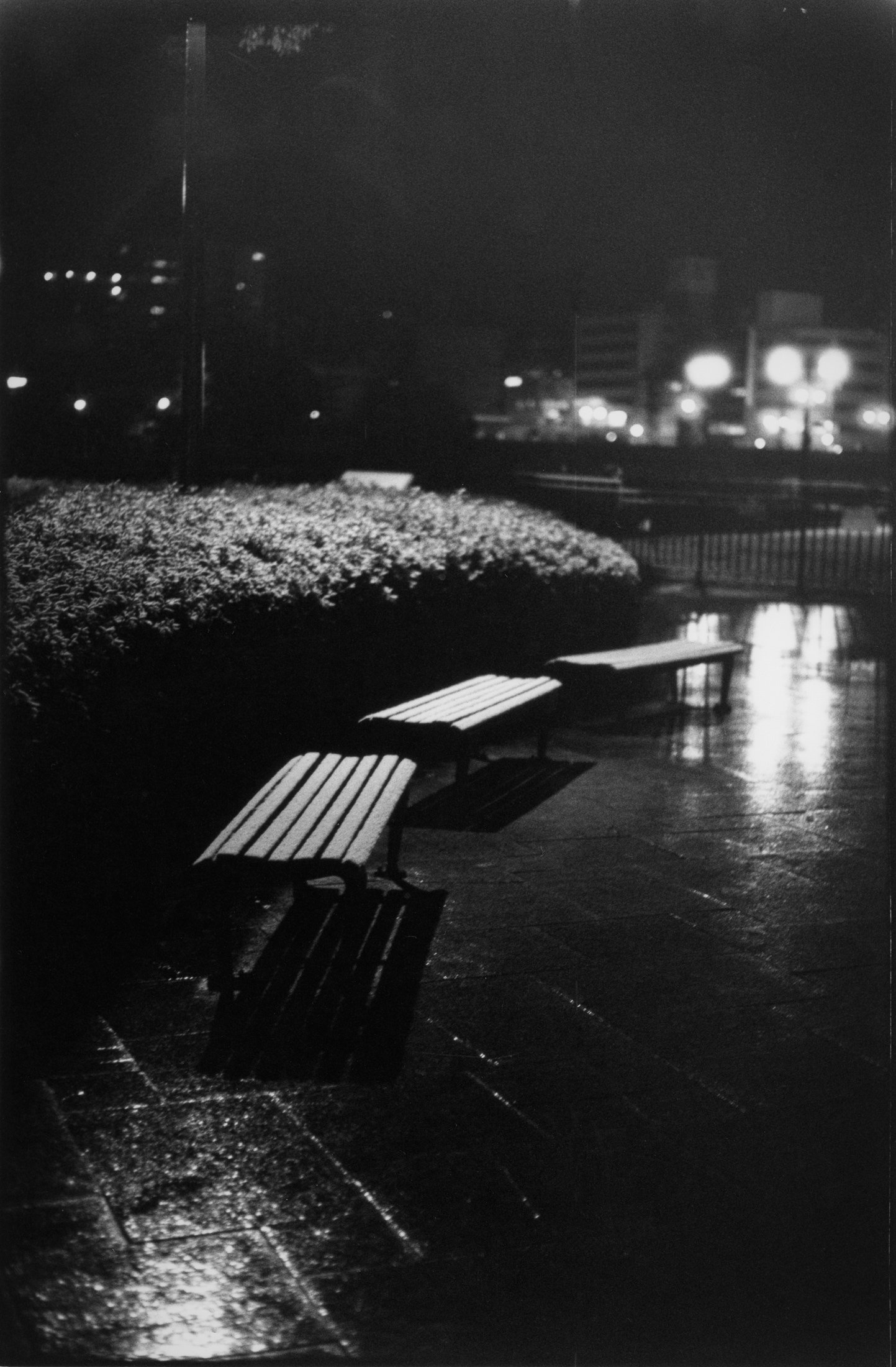 NOKTON Vintage Line 50mm F1.5 (初代) レビュー｜貴田倫大