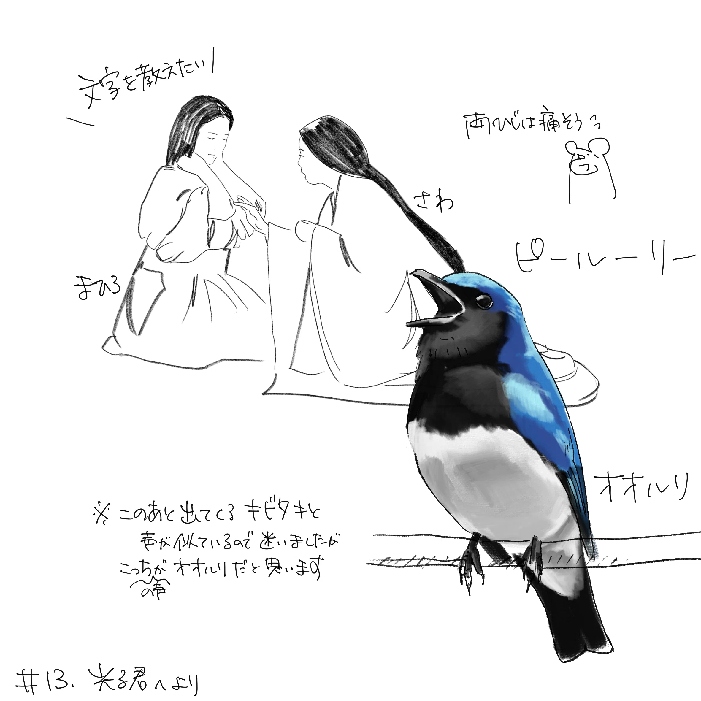 13話 進むべき道。ヤマガラは天使か悪魔か｜くますけ｜自然ガイド