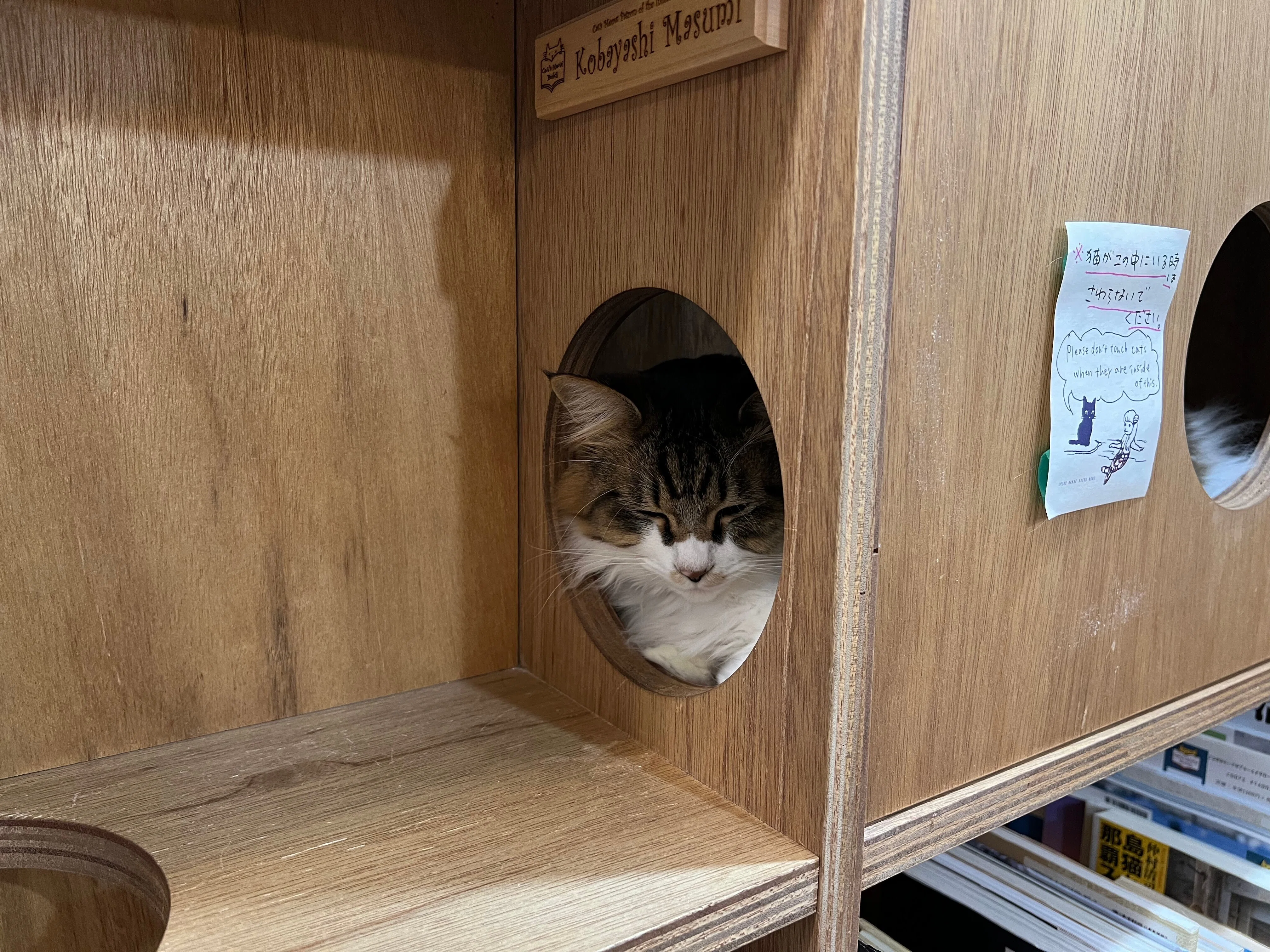 本屋発注百景vol.10 Cat's Meow Books｜BookCellar事務局
