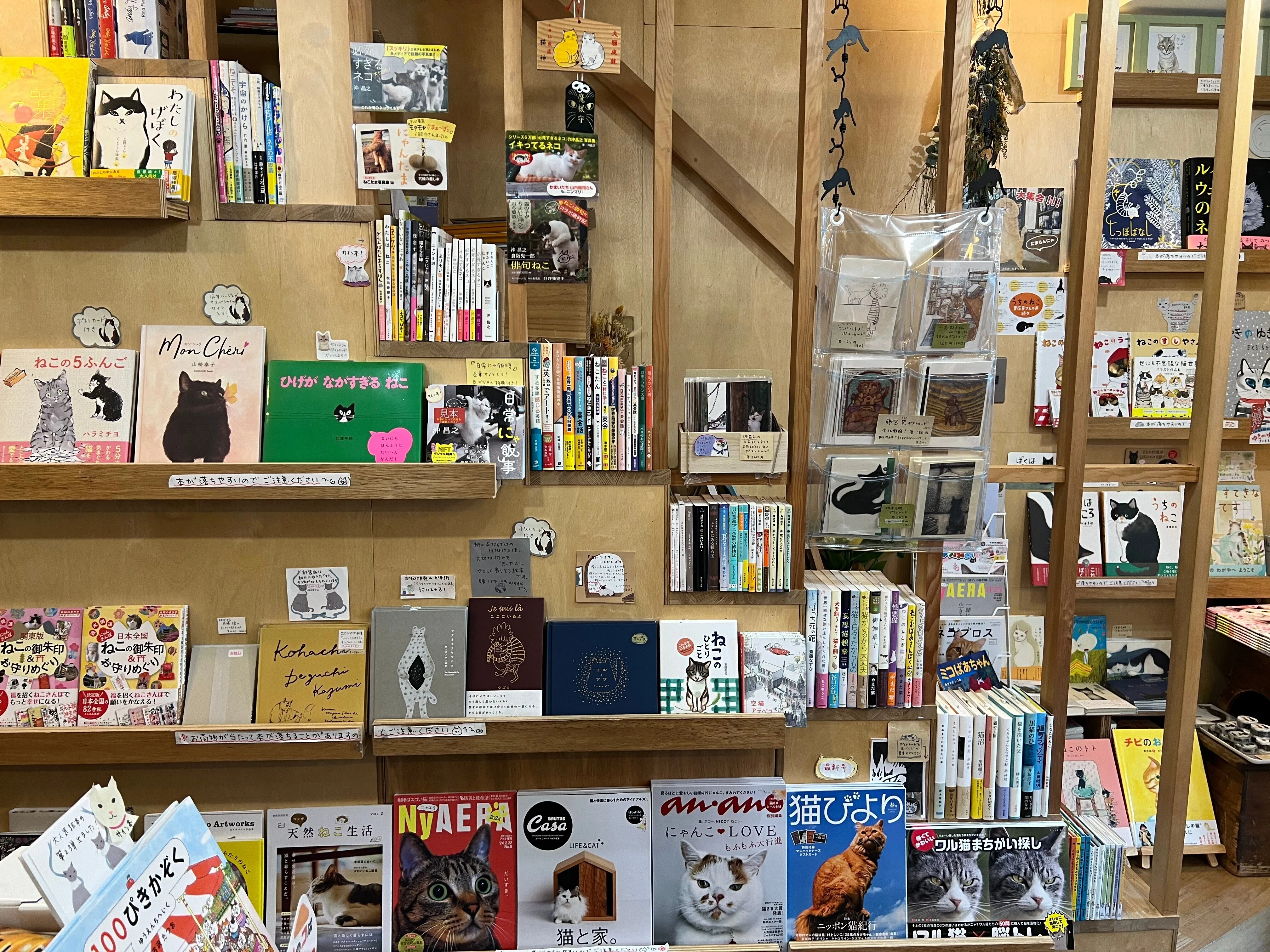 本屋発注百景vol.10 Cat's Meow Books｜BookCellar事務局