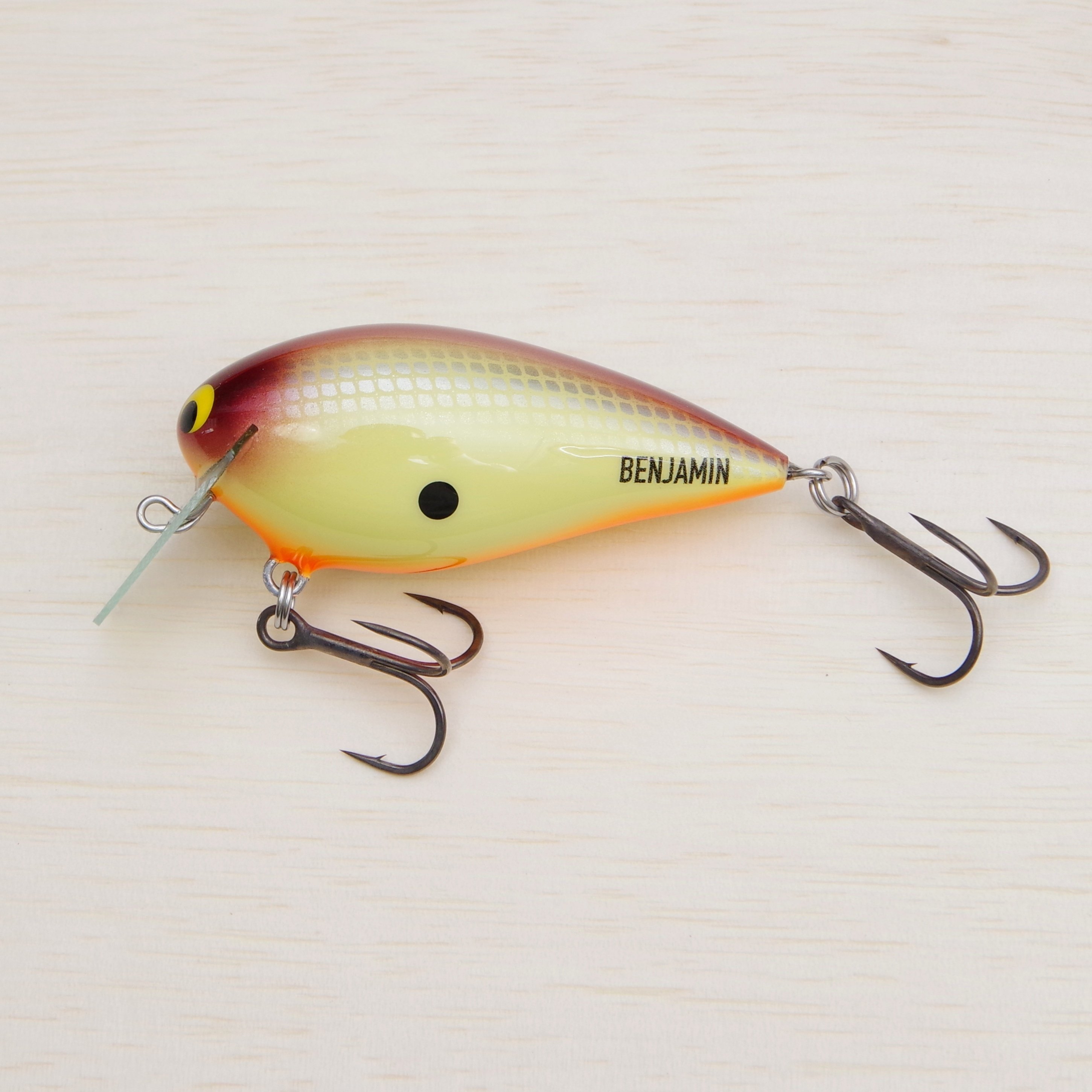 ベンジーは気合いの12色展開。いろいろと「色」のお話し。｜BRISKY