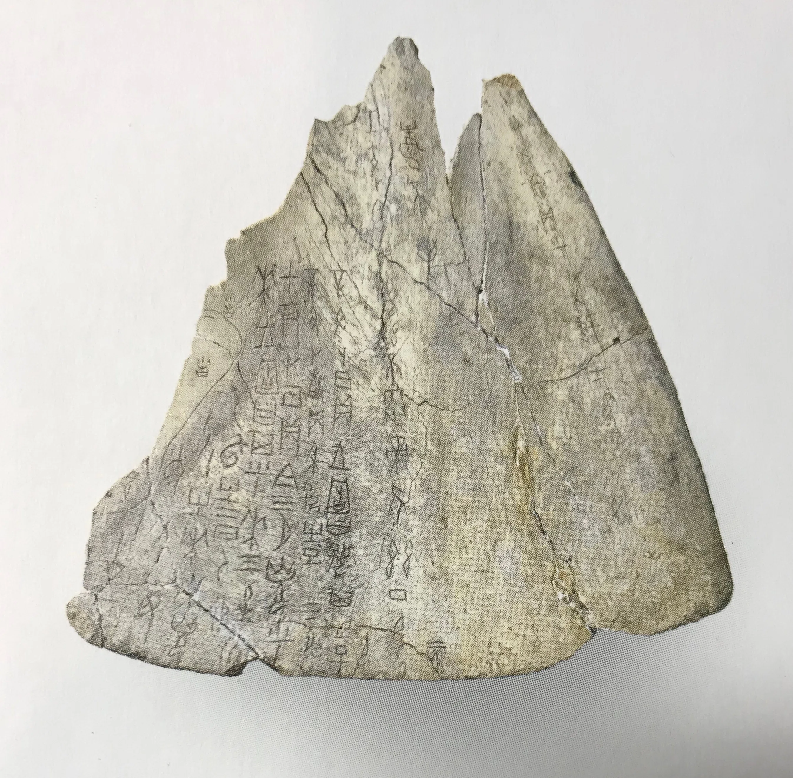 中国美術 古美術 石化鹿角 刻文字 古代 甲骨 殷 希少(K-YC685) 中国美術 古美術 石化鹿角 刻文字 古代 甲骨 殷 希少(K-YC685)