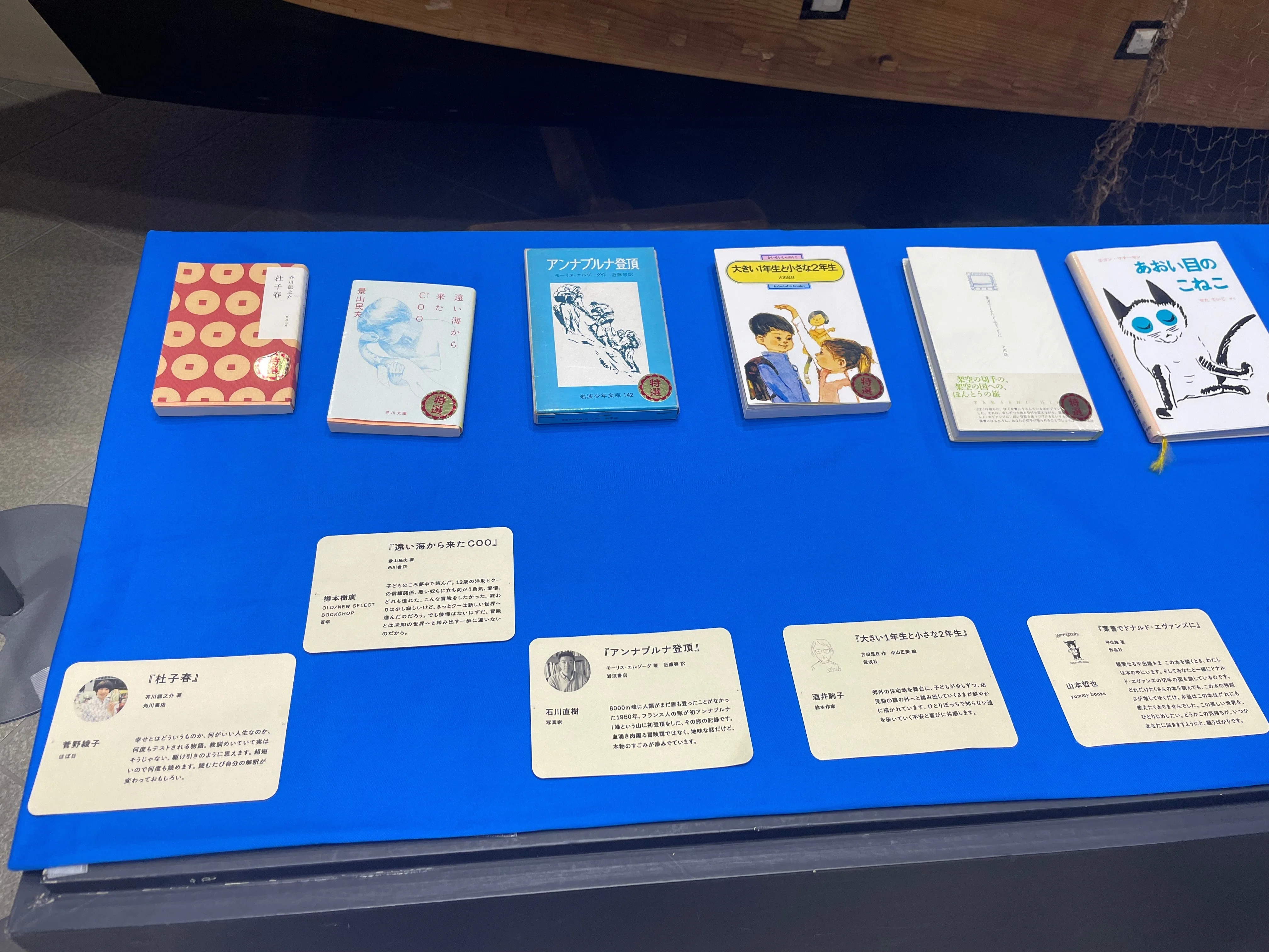 あの日のぼうけんをもう一度 〜エルマーのぼうけん展〜｜八木玲穏
