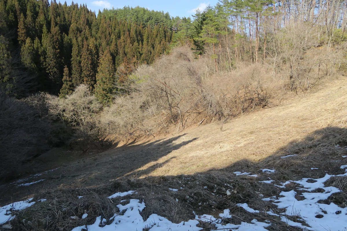 荻ダム 福島県 左岸側 堤体斜面