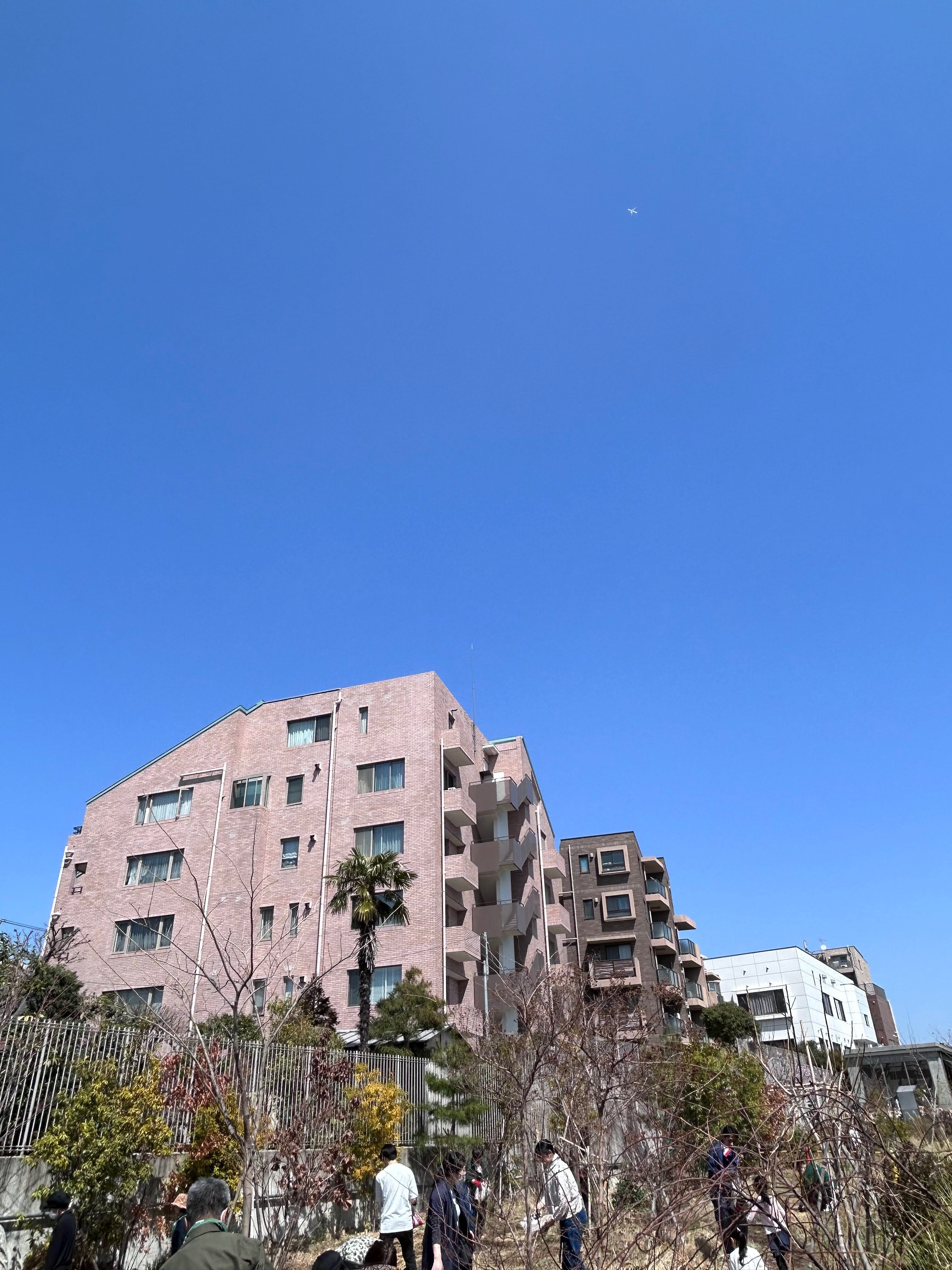 2024年3月 園藝部DAY「のはらの種まき&芝生の植え込み体験