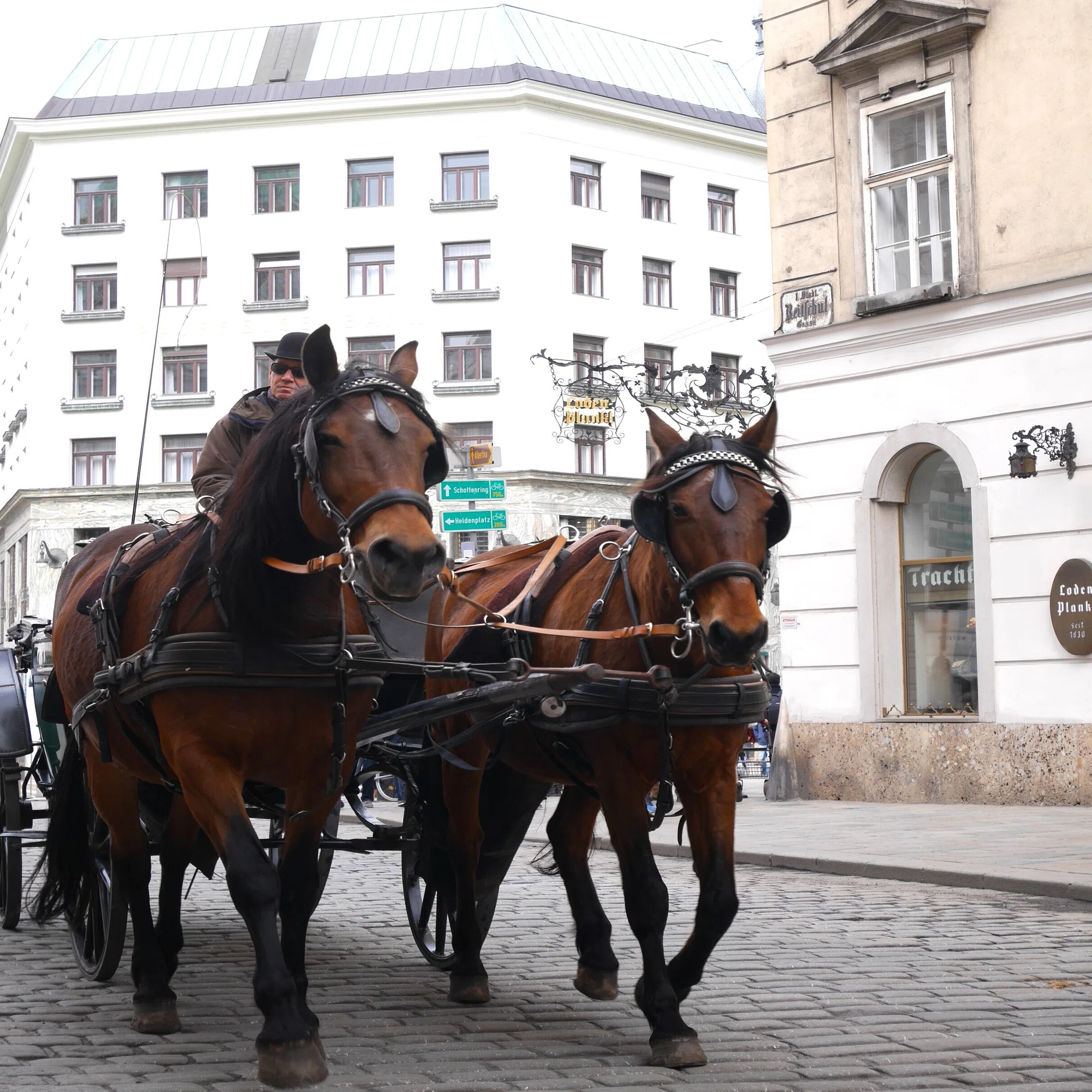 ドイツの馬車｜世界の人に聞いてみた
