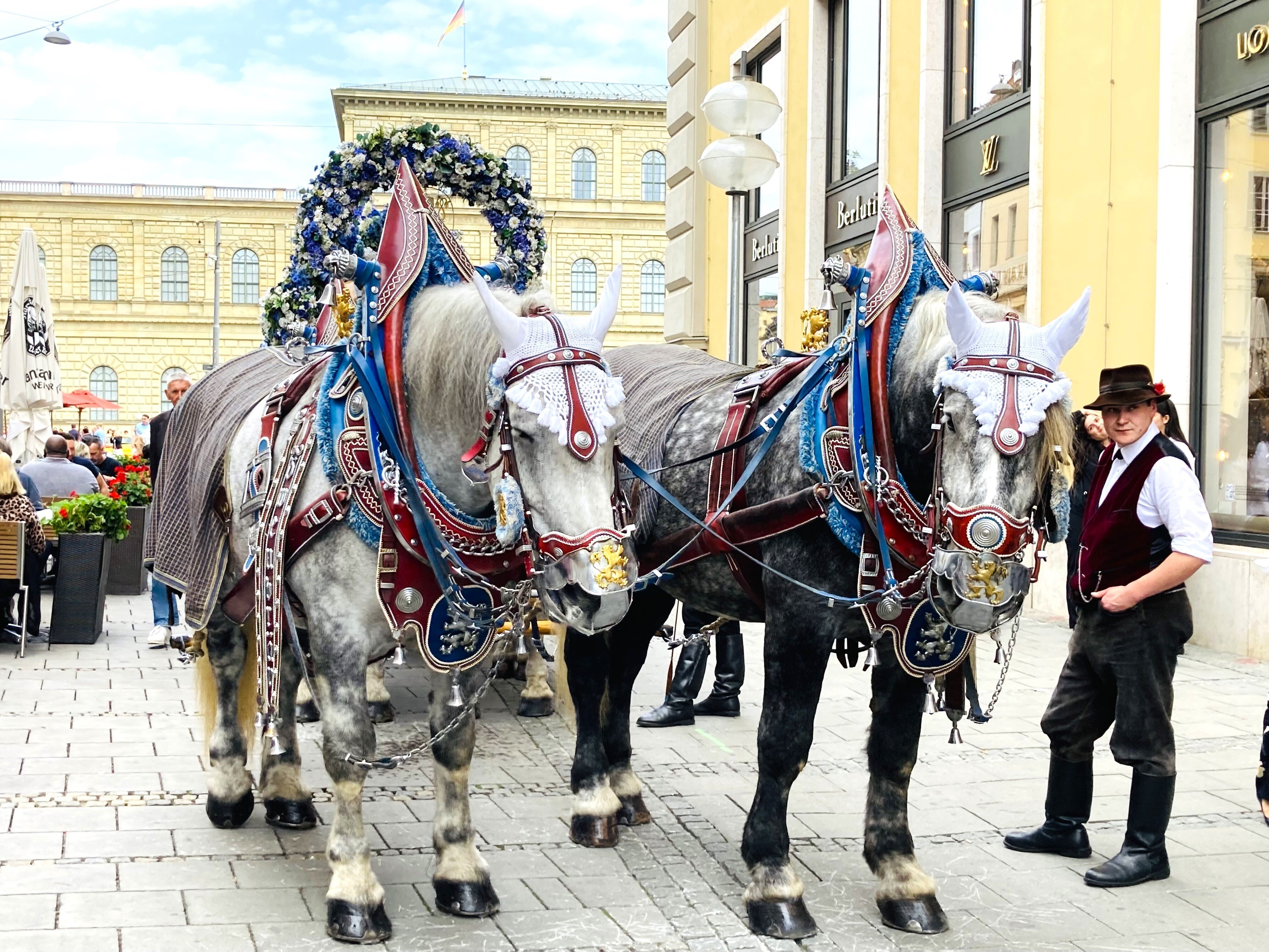 ドイツ 牛と馬の荷馬車 プラレール グリーン 車