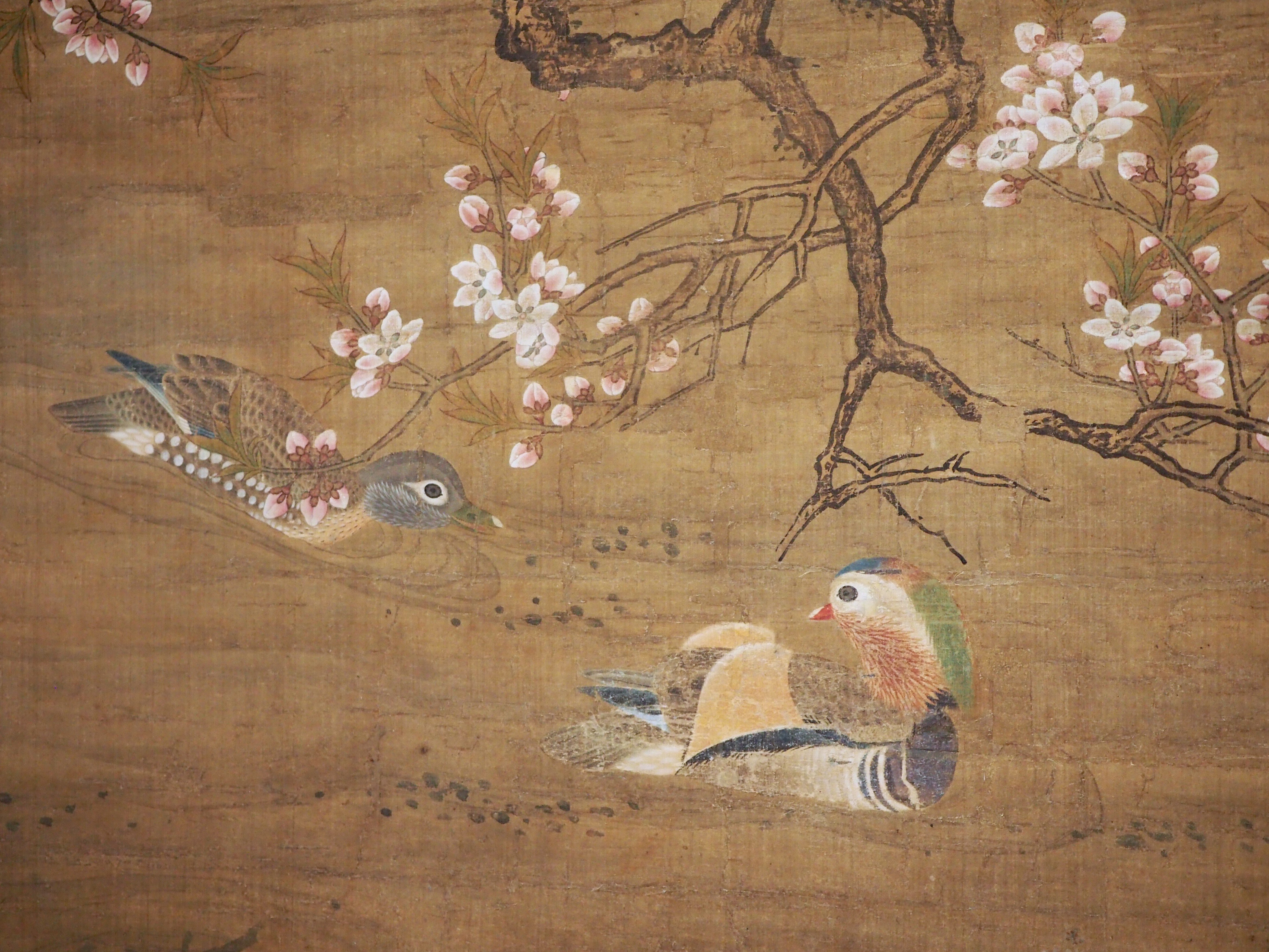 絵画　　花と鳥 葛飾北斎 花鳥画はがきセット（4図各1枚入） | THE SUMIDA HOKUSAI MUS