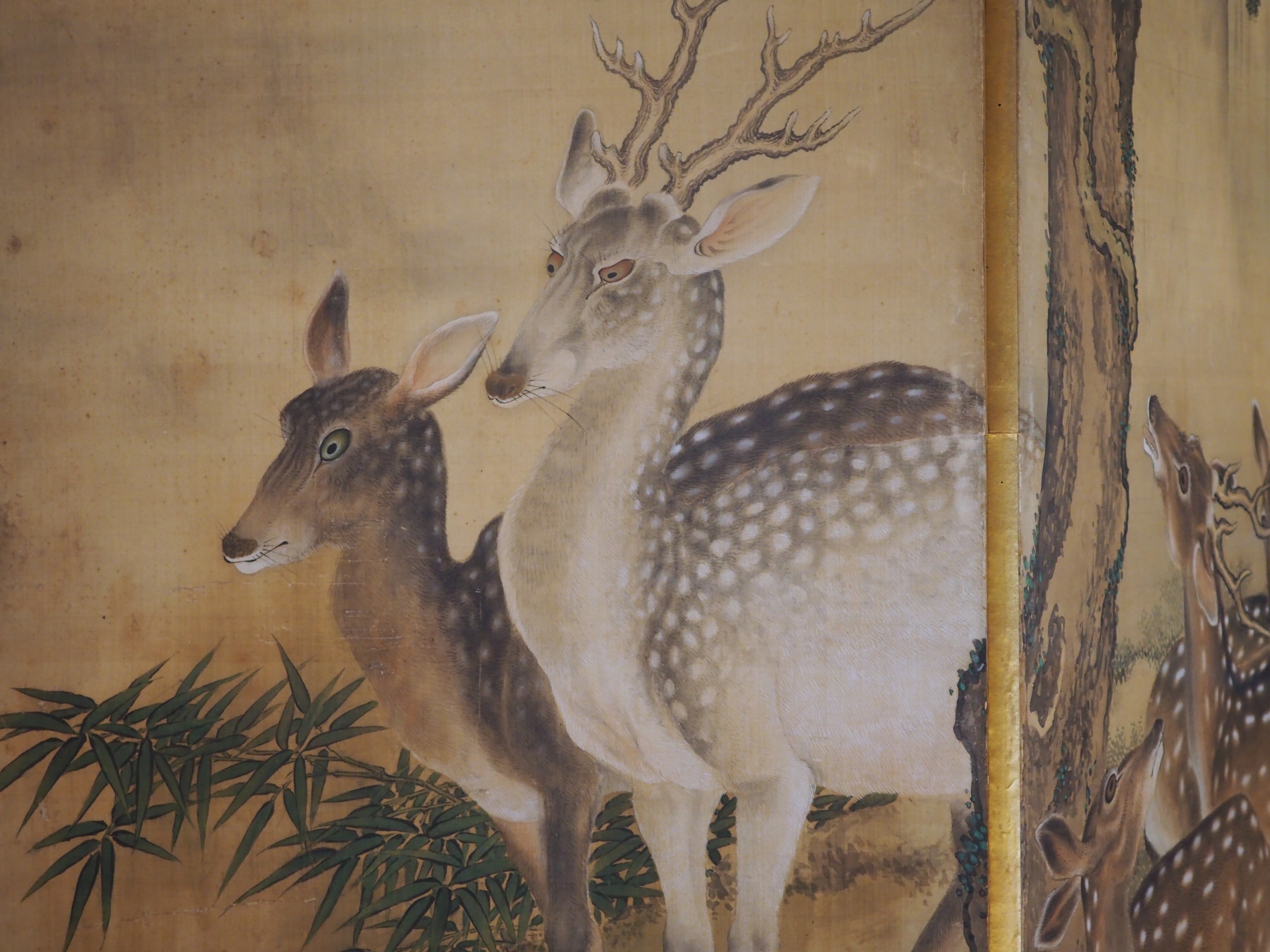 『 古画 中国 花鳥画 』唐物唐画 2点まとめ 古画 中国 花鳥画 』唐物唐画 2点まとめ 絵画