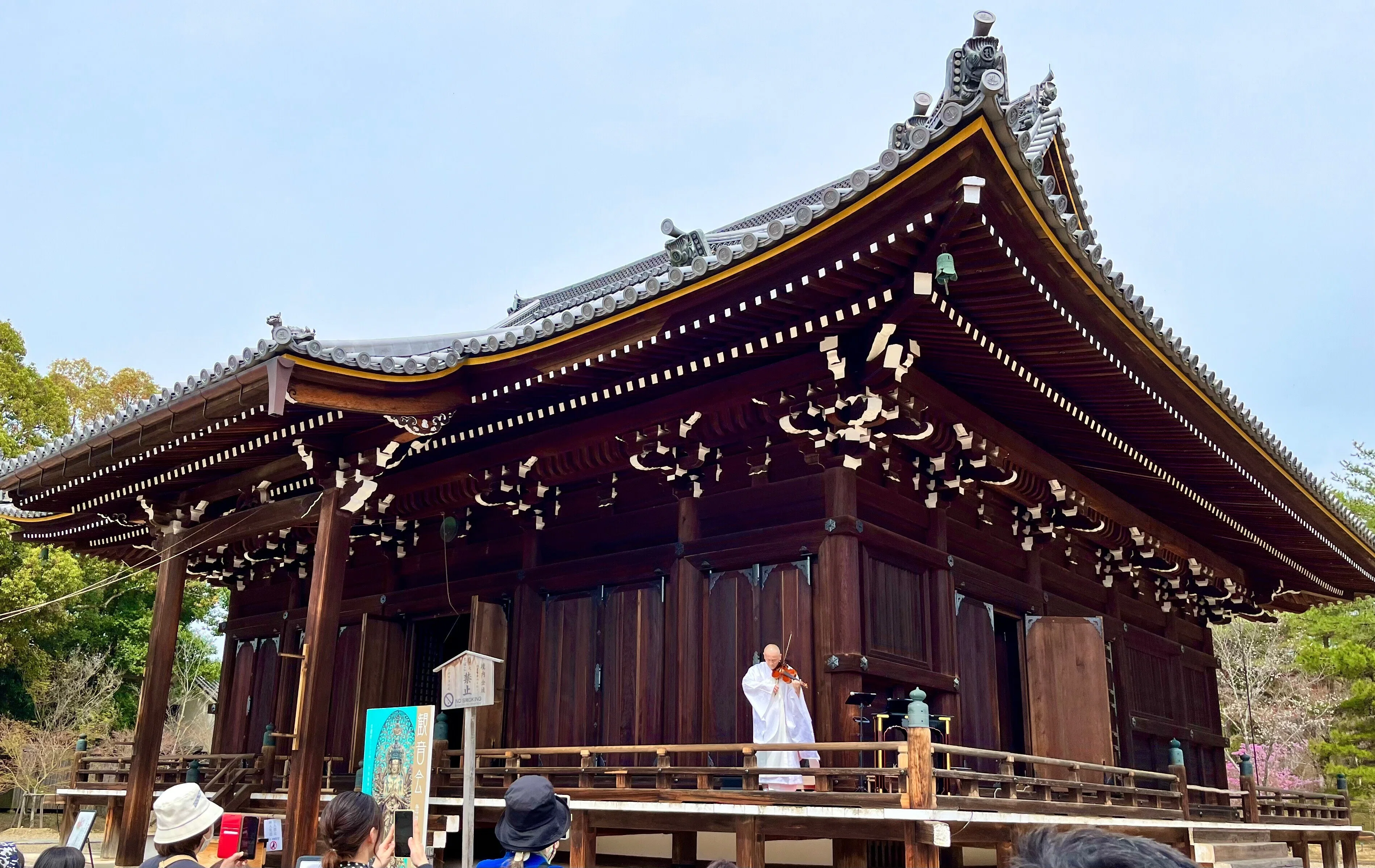 そうだ 御室桜を見に、仁和寺へ行こう。｜京都ノート