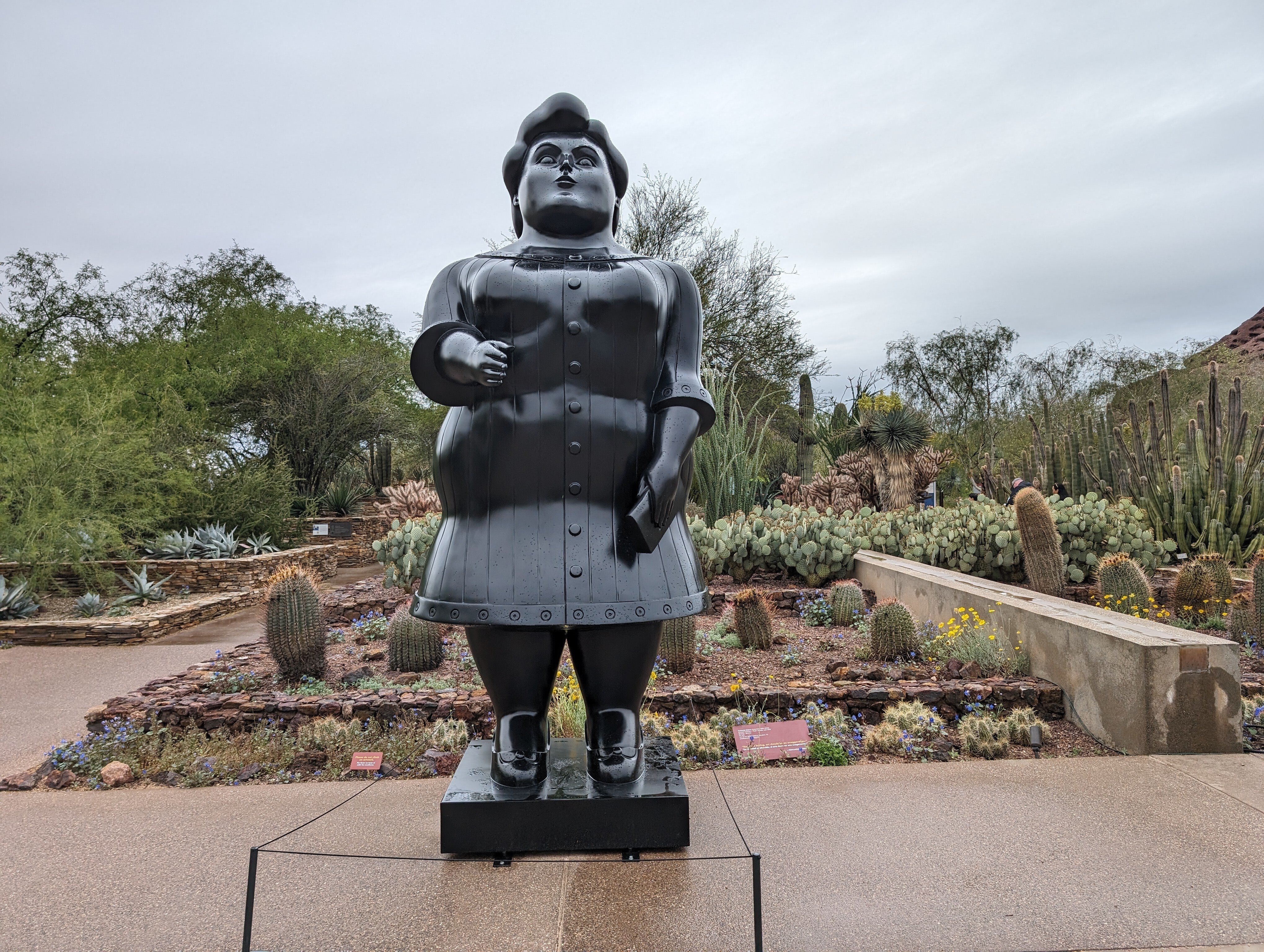 フェニックス旅行記 -サボテンと楽器とスコッツデール-｜福原たまねぎ