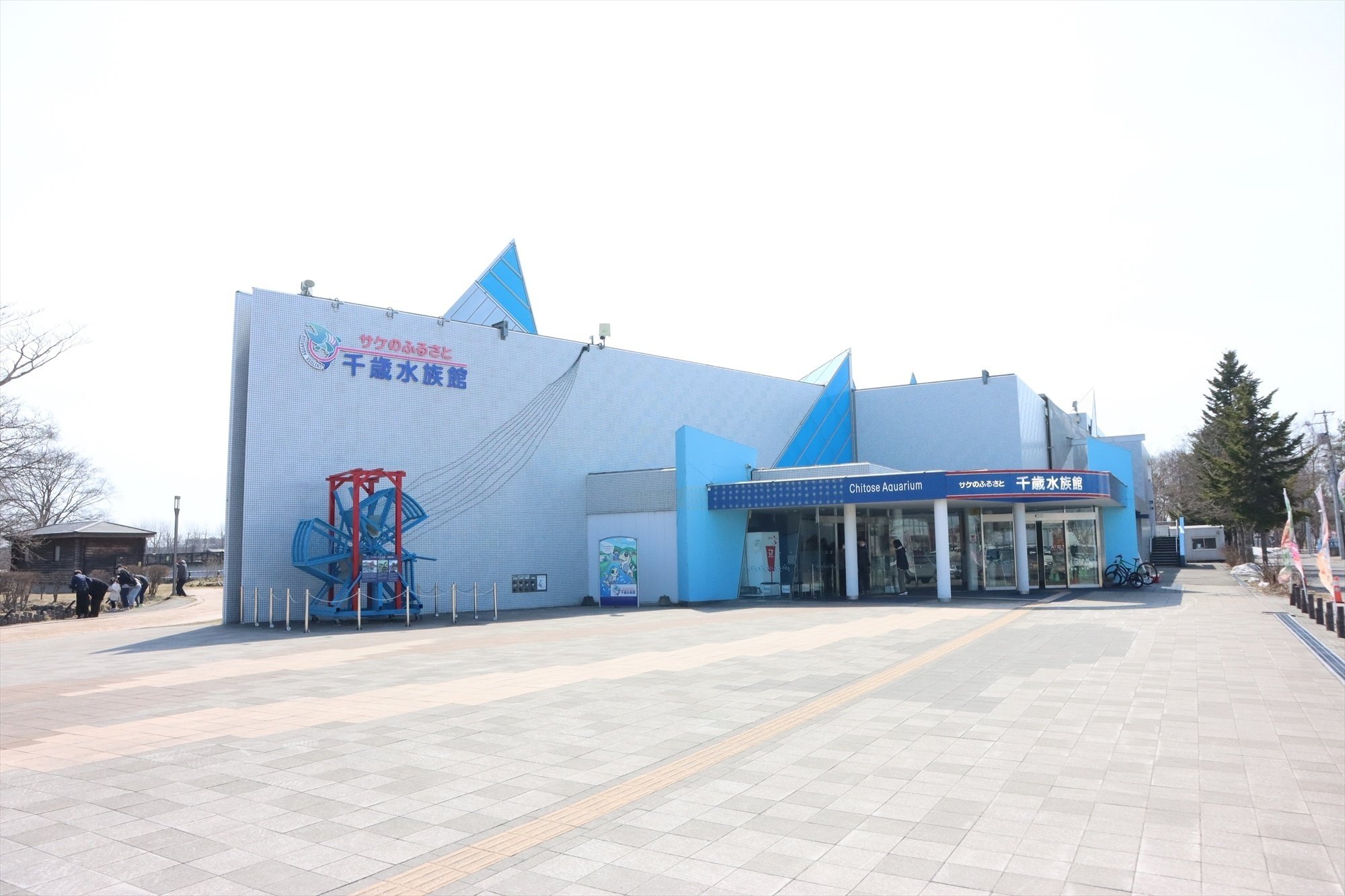 2024年4月上旬 千歳水族館｜銀野舎 和佐