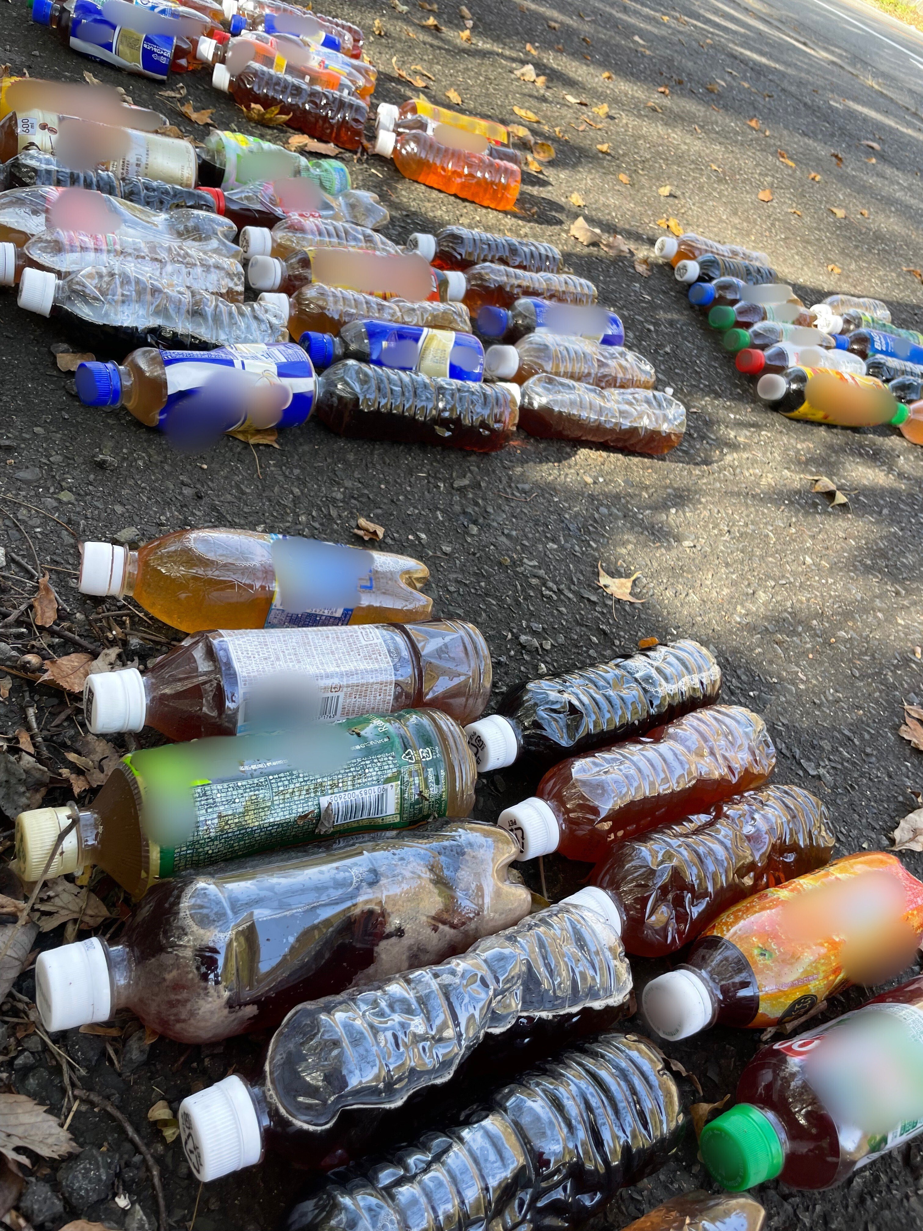 短編モキュメンタリー映画「黄金のペットボトル」｜AKIKO KIMURA 木村晃子