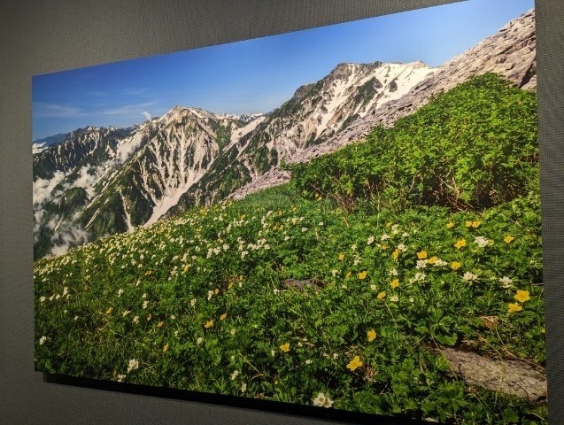 菊池哲男「四季白馬 アルプスの楽園」「アルプス星夜」「鹿島槍 五竜岳」 四季白馬 アルプスの楽園 | 菊池 哲男 |本 | 通販 | Amazon
