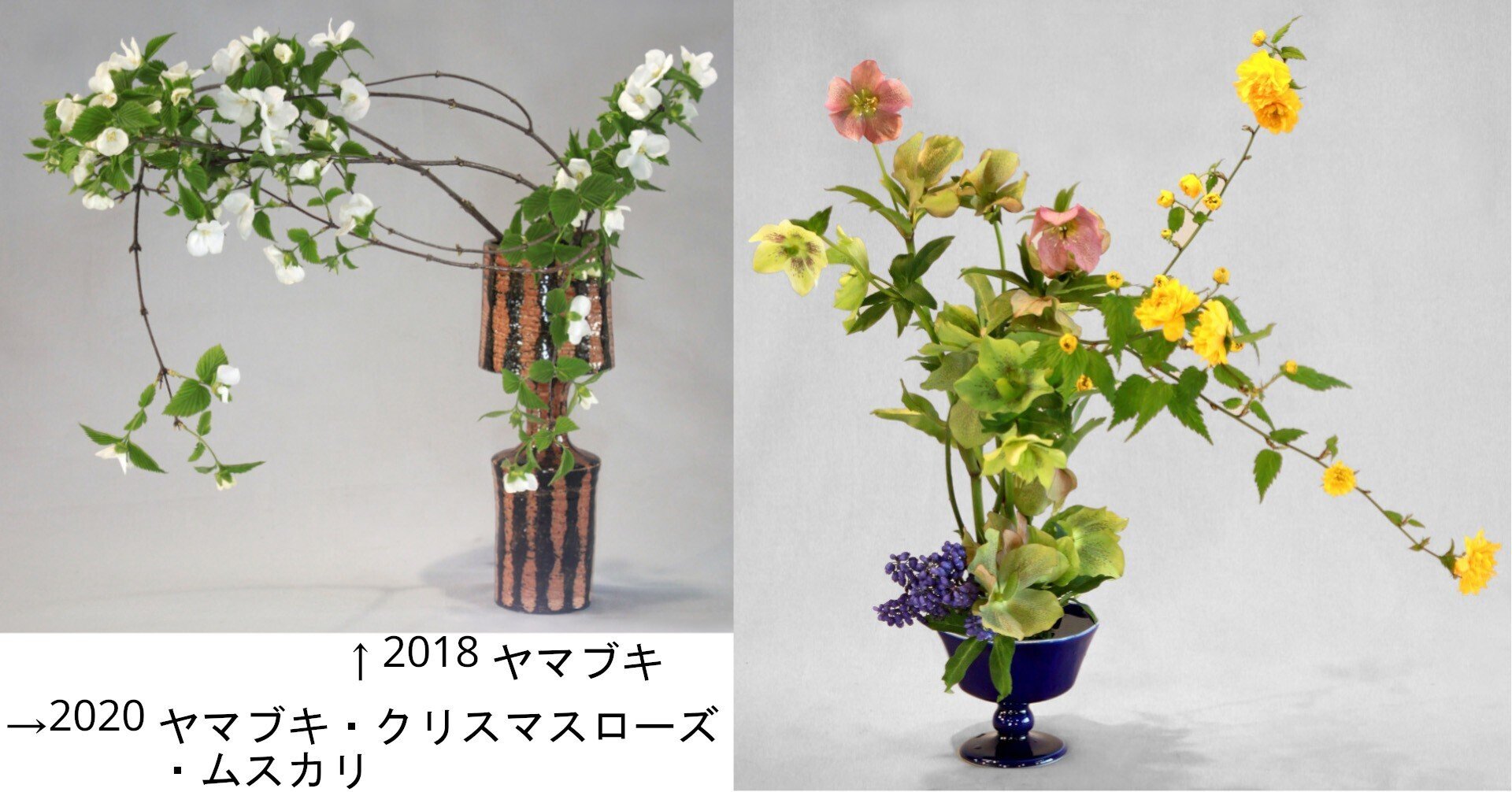 いけばな歳時記 ヤマブキ｜広瀬典丈