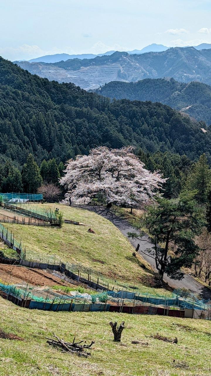石黒連州の本 Yahoo!オークション -「石黒連州」の落札相場・落札価格