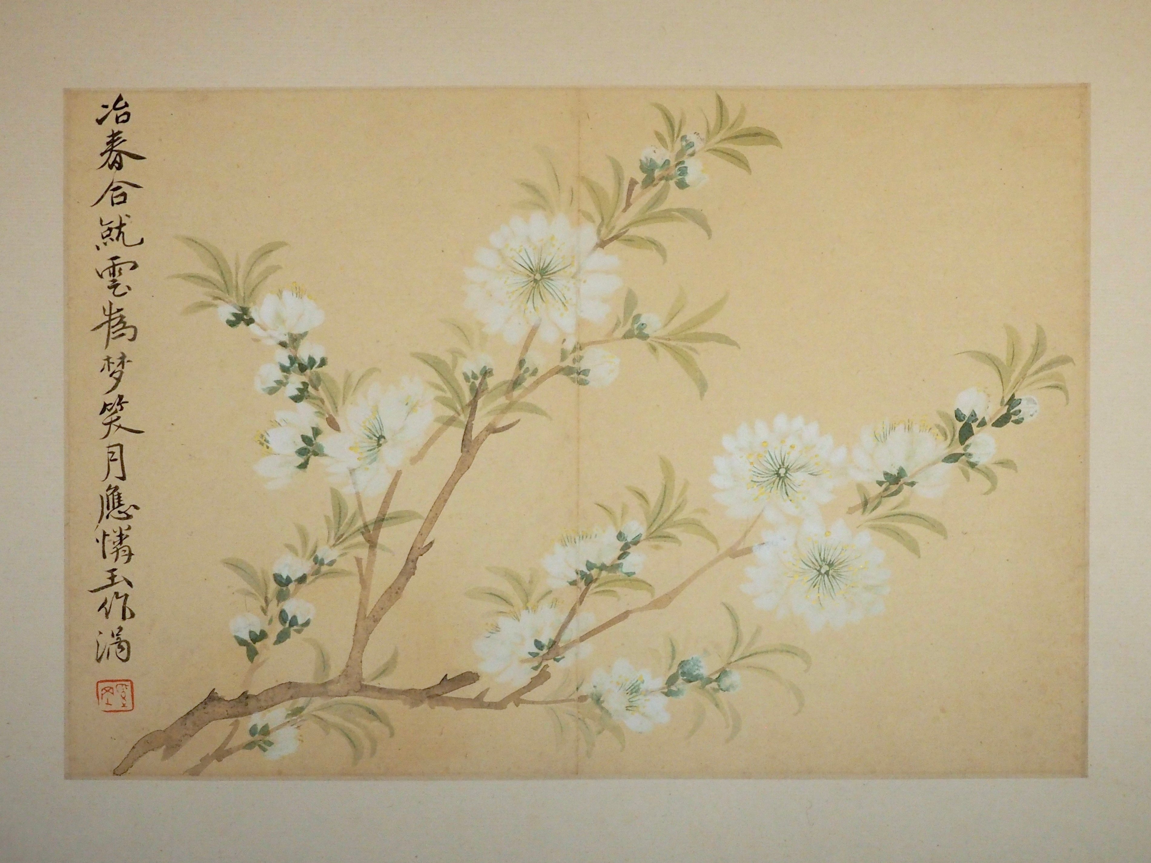 中国　絵画　花鳥図　肉筆　マクリ　弘仁 中国 絵画 花鳥図 肉筆 マクリ 弘仁