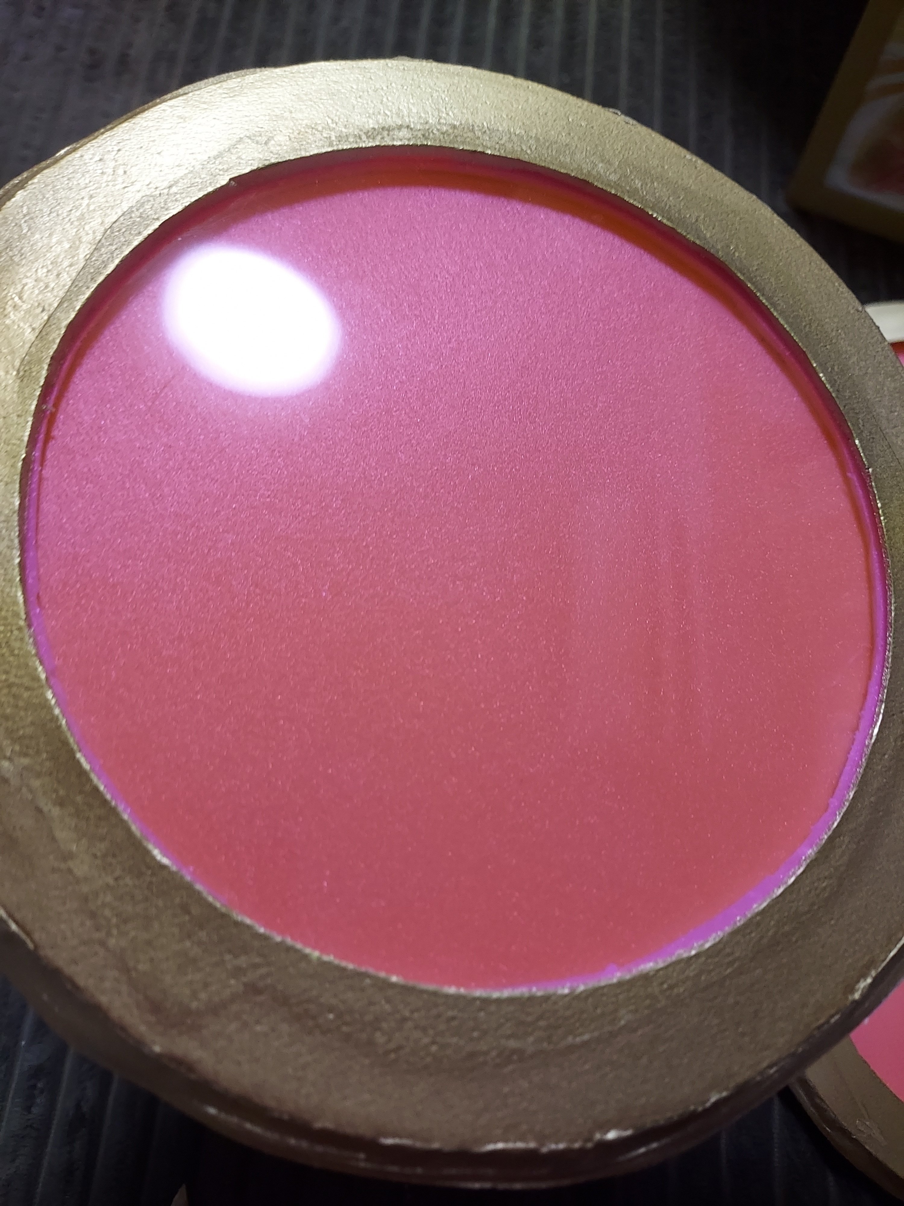 金トレジャー版、音卿の精霊龍 ラフルル・ラブになる為に｜あんづ