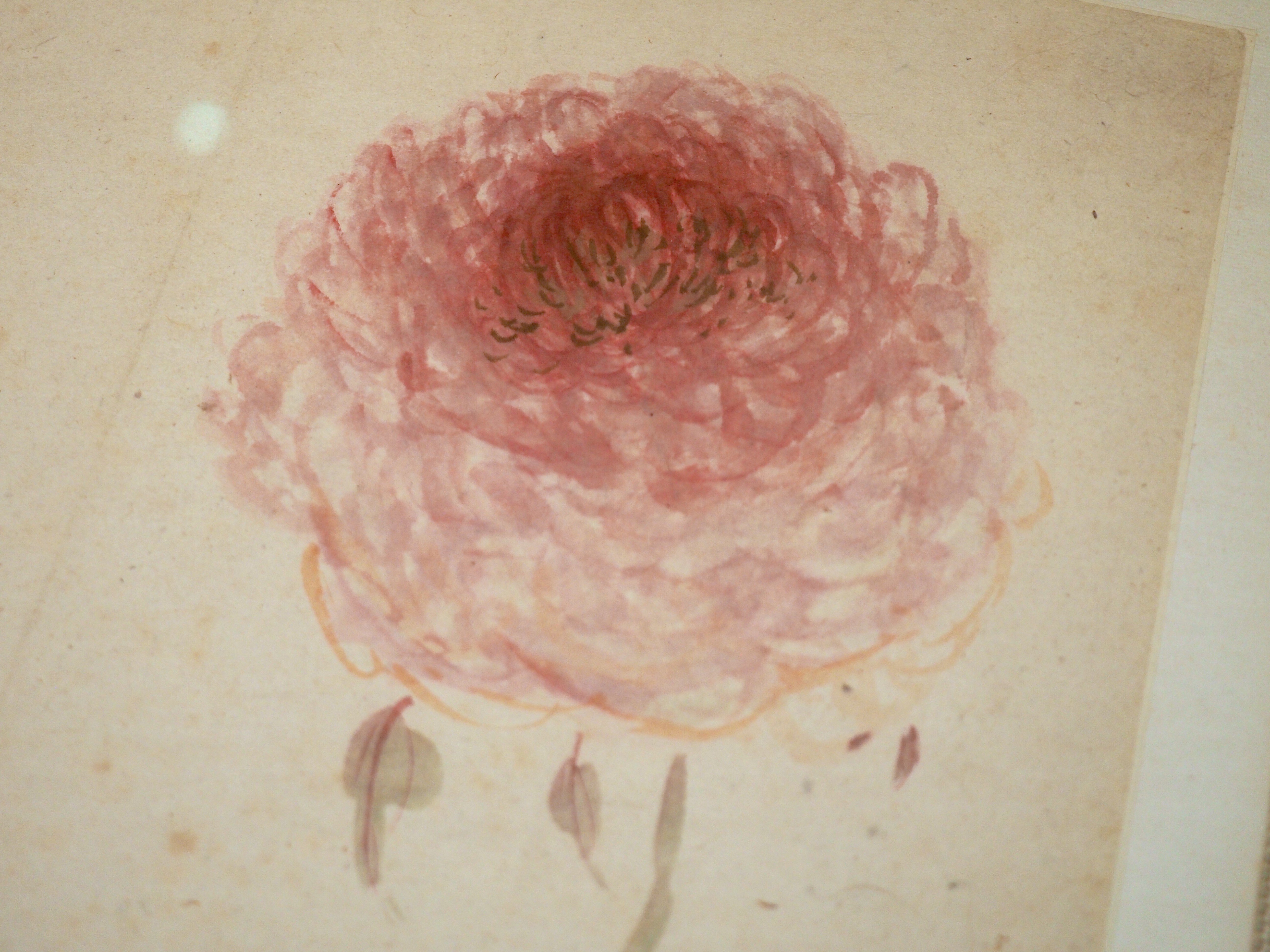 トーハク東洋館でググッと来た、中国の花鳥画(02)|かわかわ トーハク東洋館でググッと来た、中国の花鳥画(02)|かわかわ