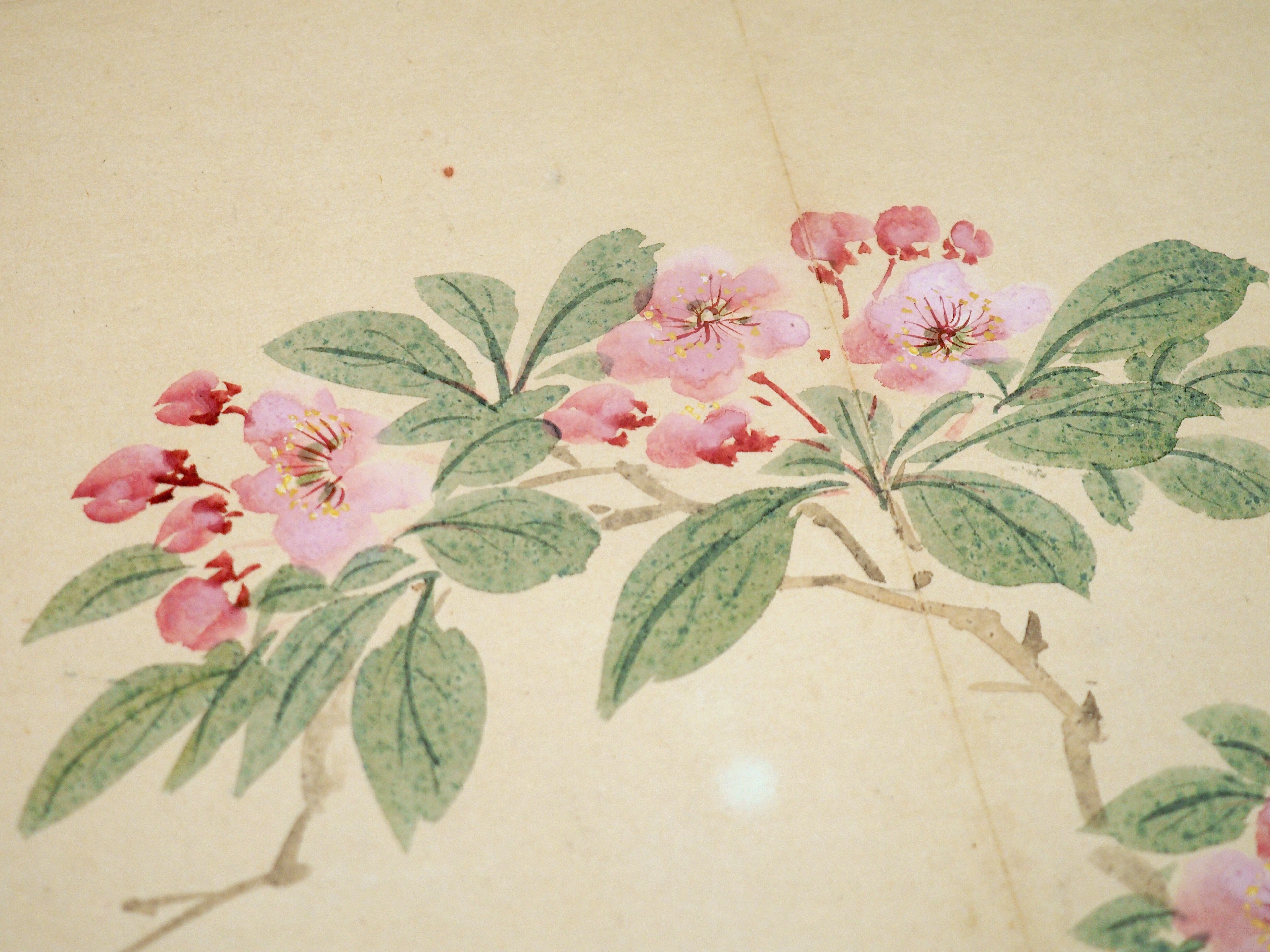 中國  手書花鳥 トーハク東洋館でググッと来た、中国の花鳥画（01）｜かわかわ