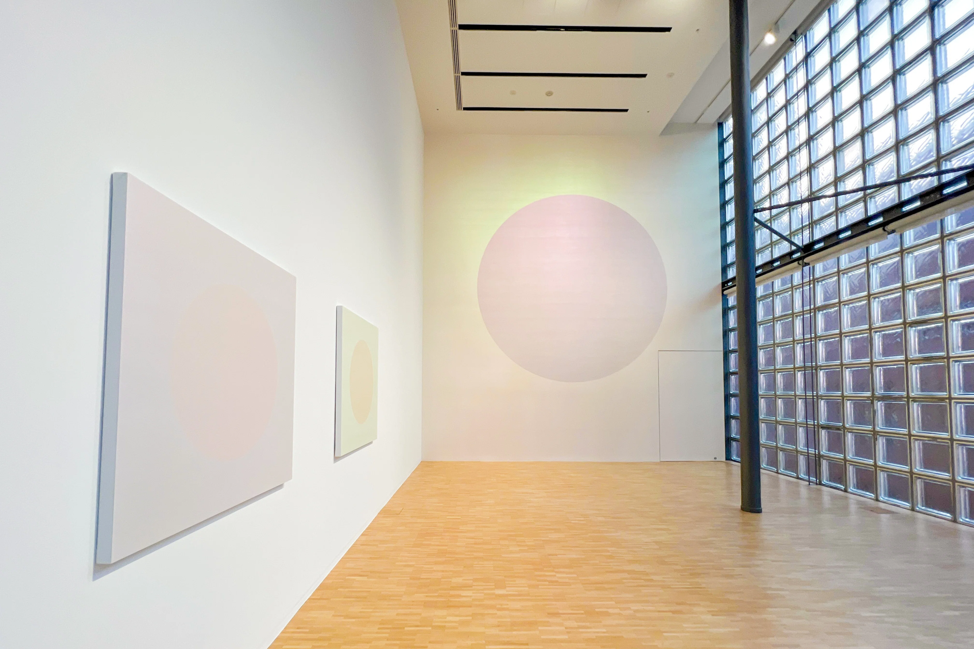 自然光の中で 光と色彩を”体験する”展覧会 ｜フランシス真悟
